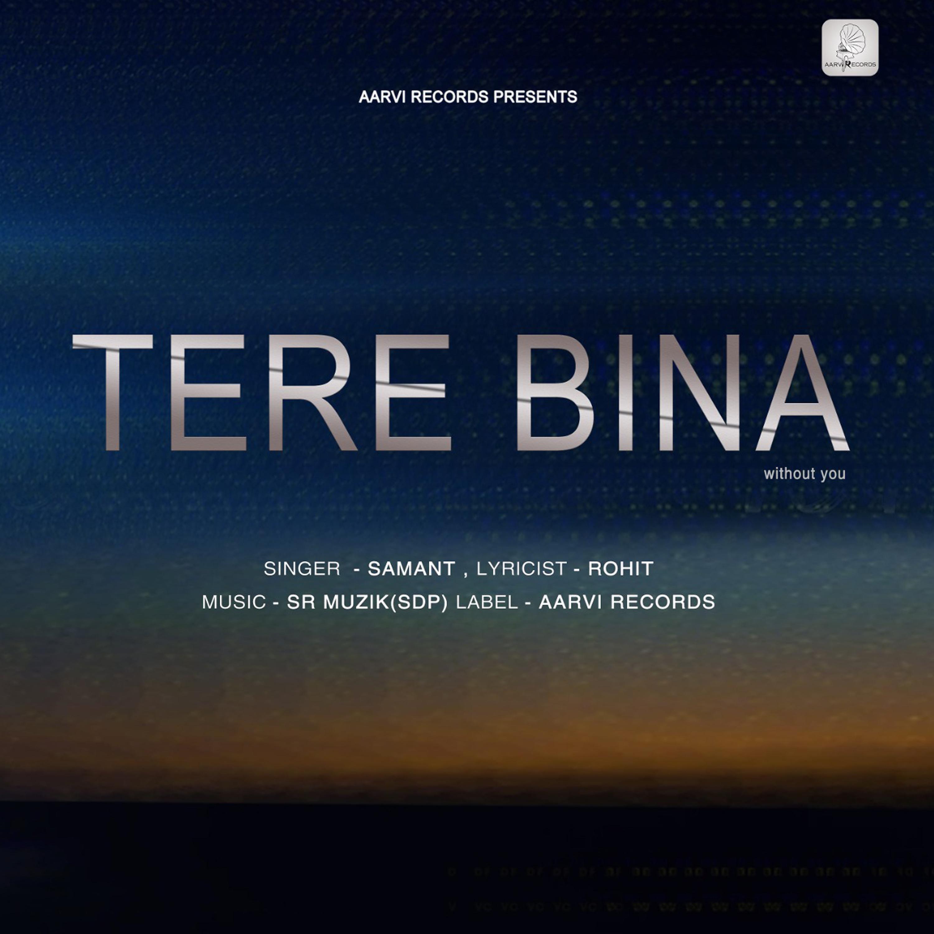 Постер альбома Tere Bina - Single
