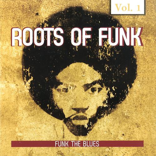 Постер альбома Roots of Funk, Vol. 1 (Funk the Blues)