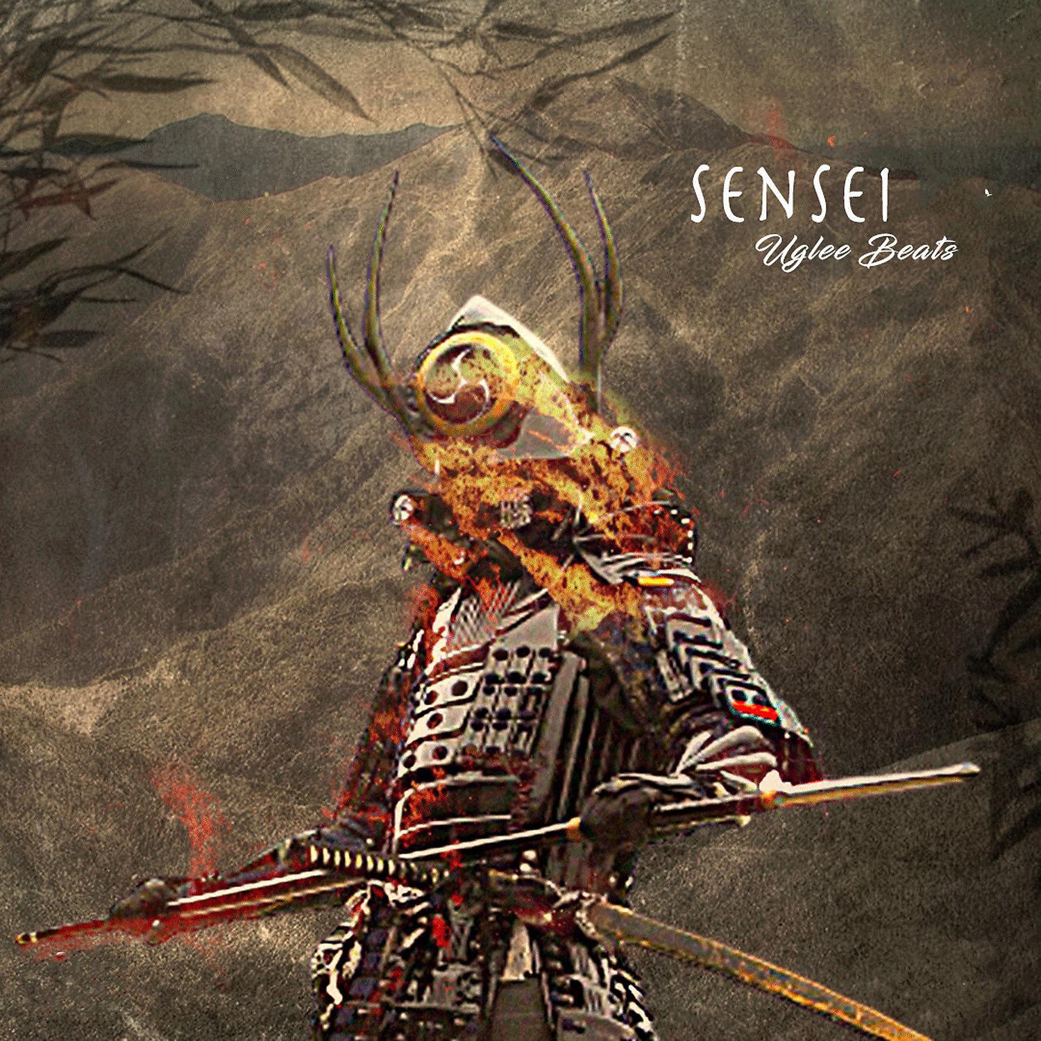 Постер альбома Sensei