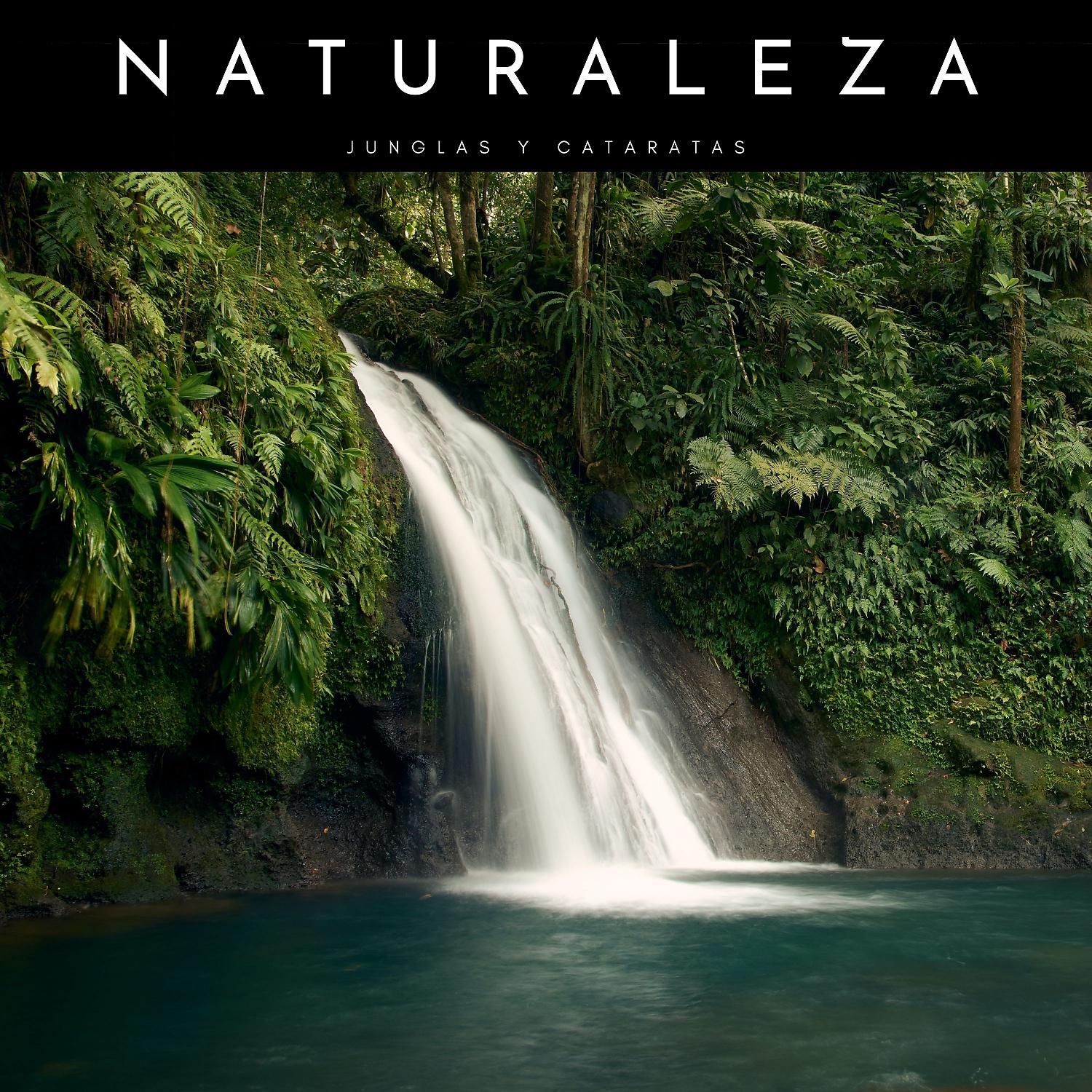 Постер альбома Naturaleza: Junglas y Cataratas