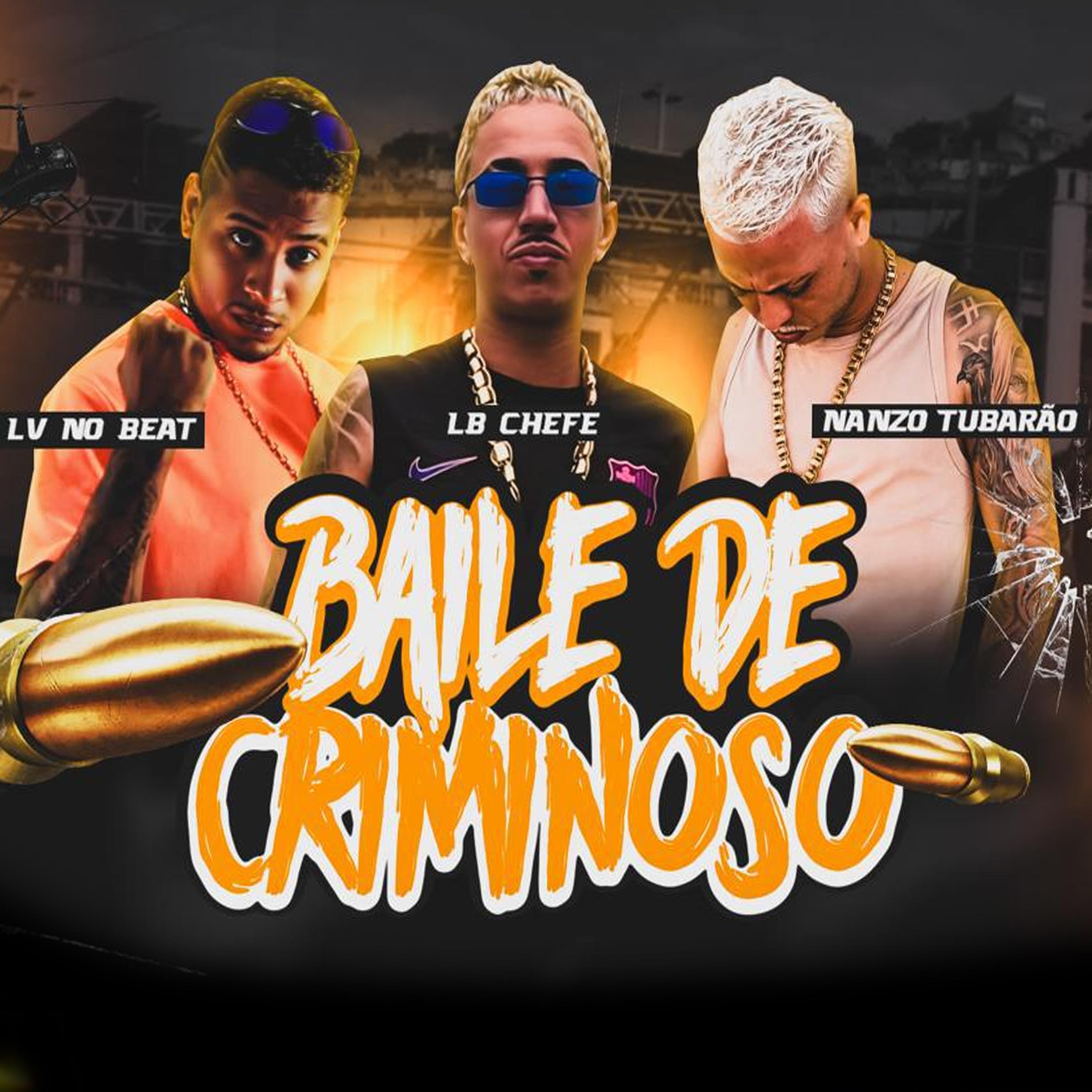 Постер альбома Baile de Criminoso