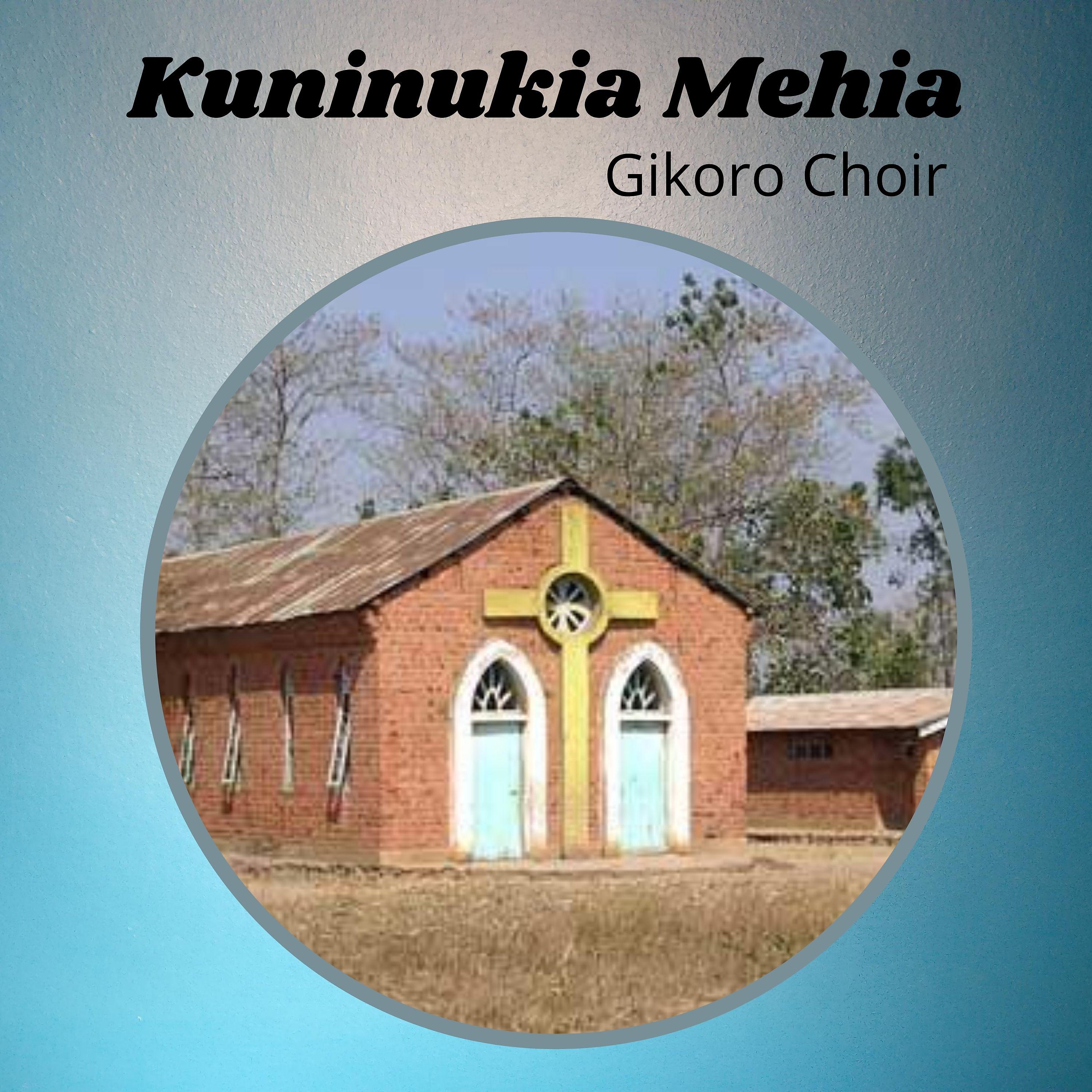 Постер альбома Kuninukia Mehia