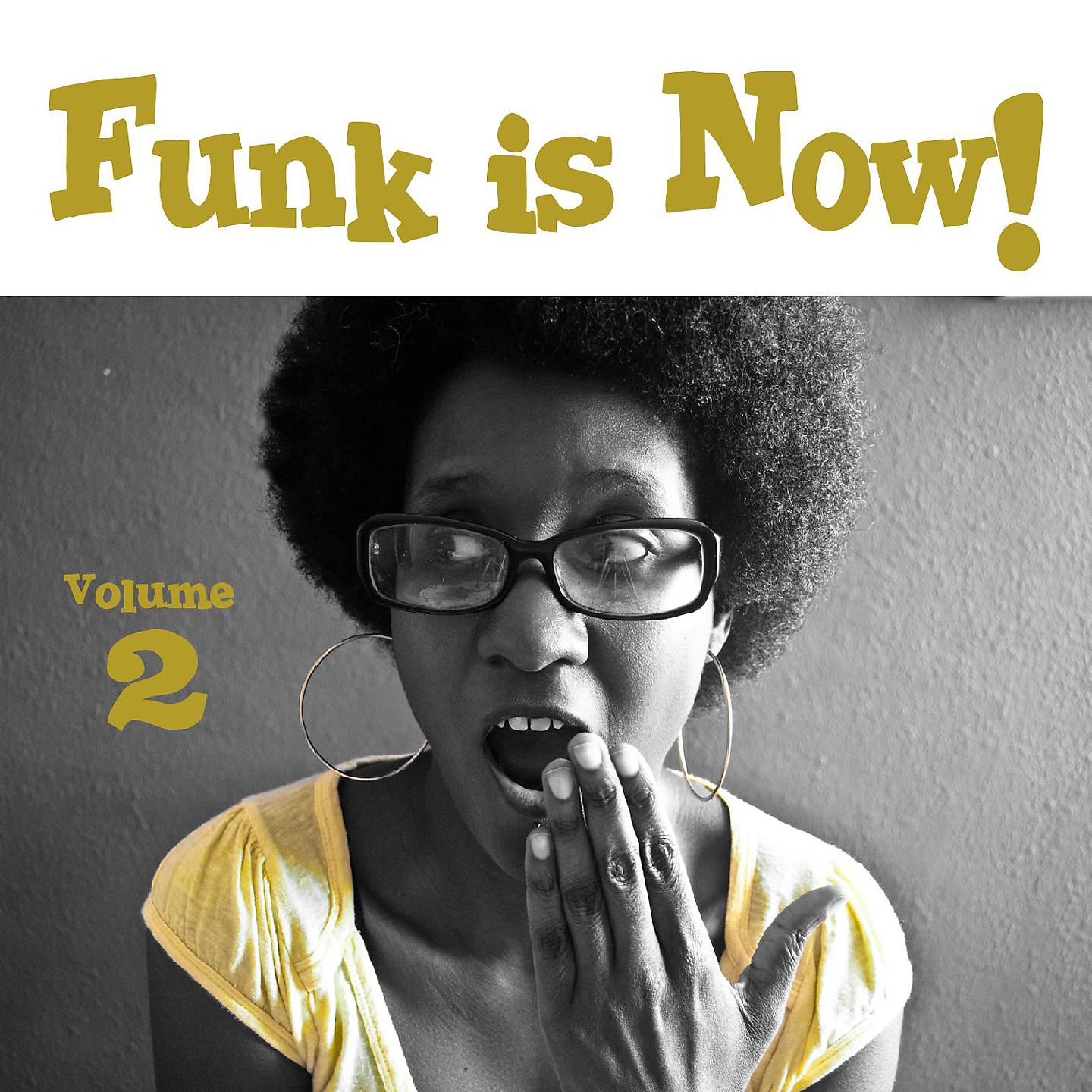 Постер альбома Funk is Now! Vol. 2