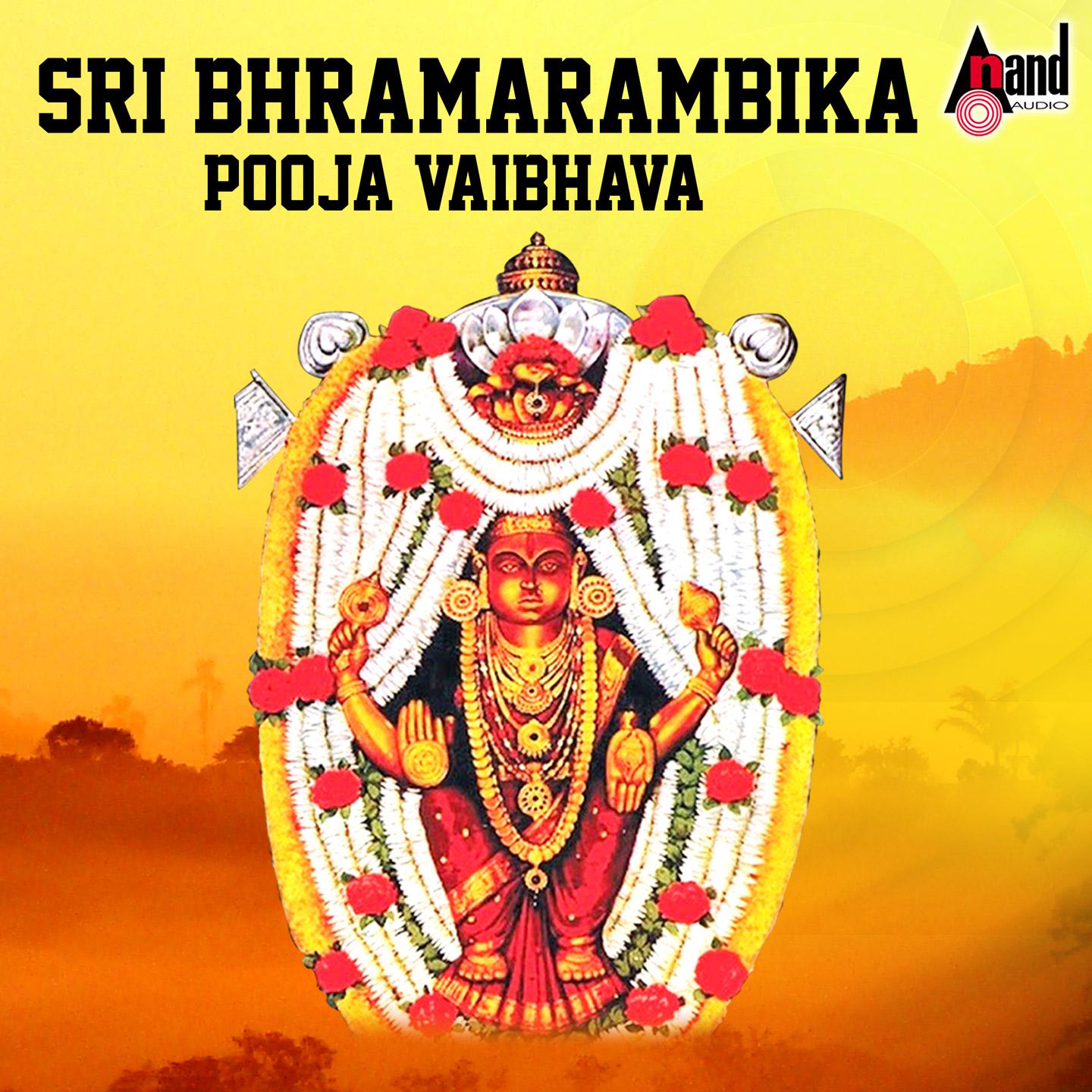 Постер альбома Sri Bhramarambika Pooja Vaibhava