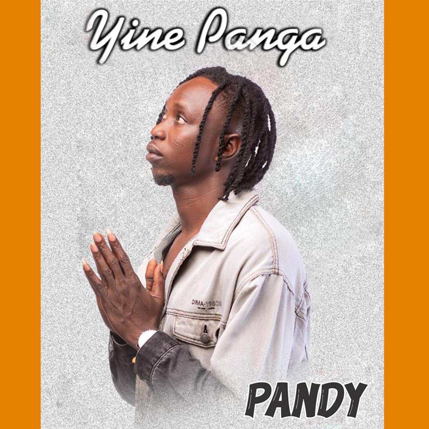 Постер альбома Yine Panga
