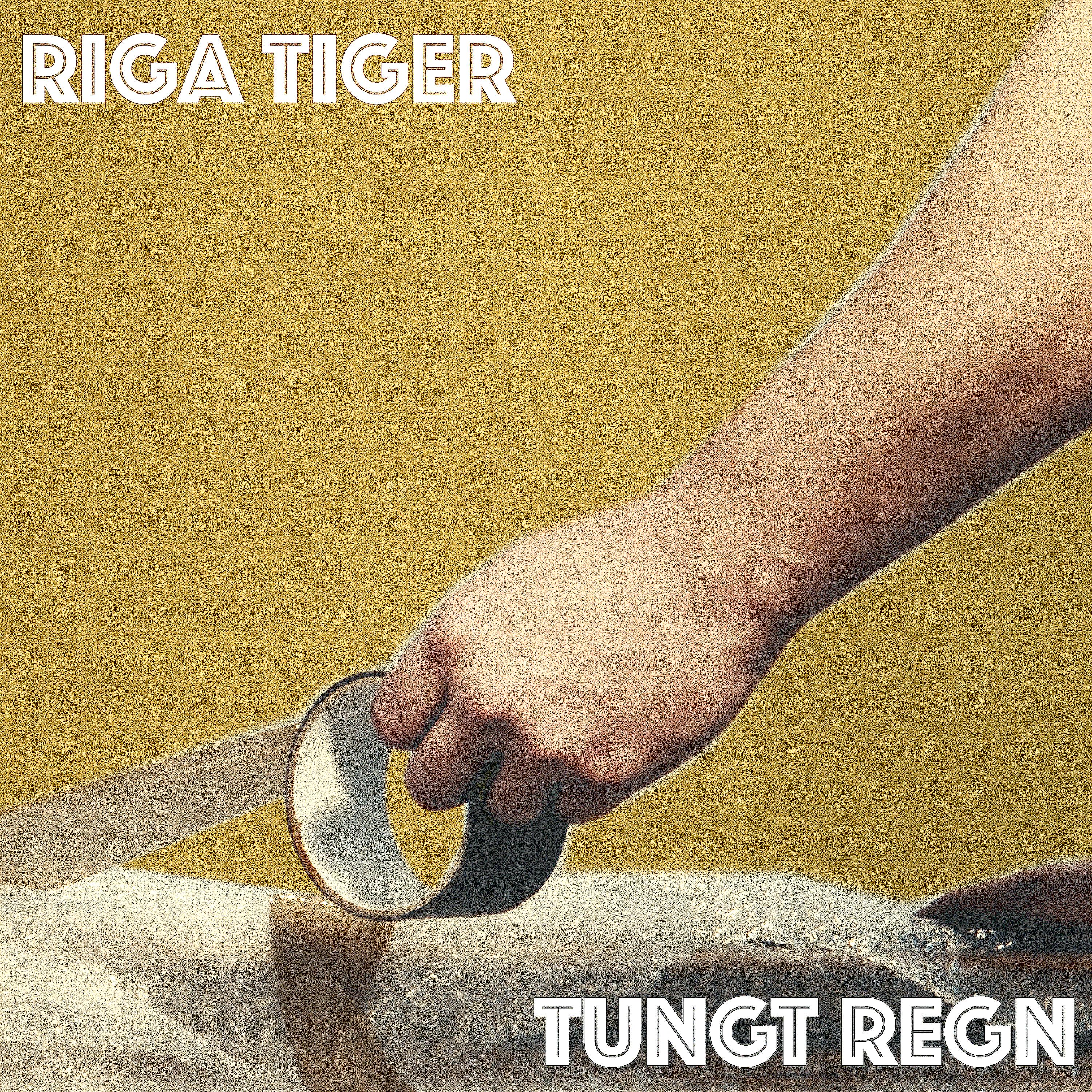 Постер альбома Tungt regn