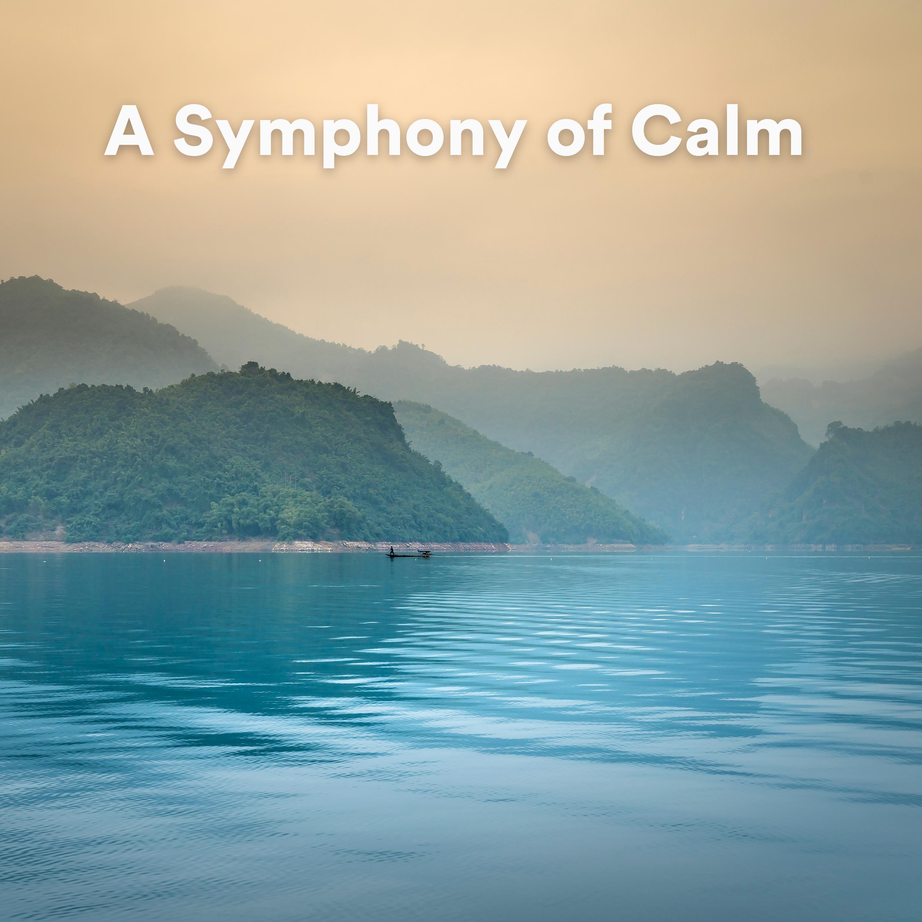 Постер альбома A Symphony of Calm