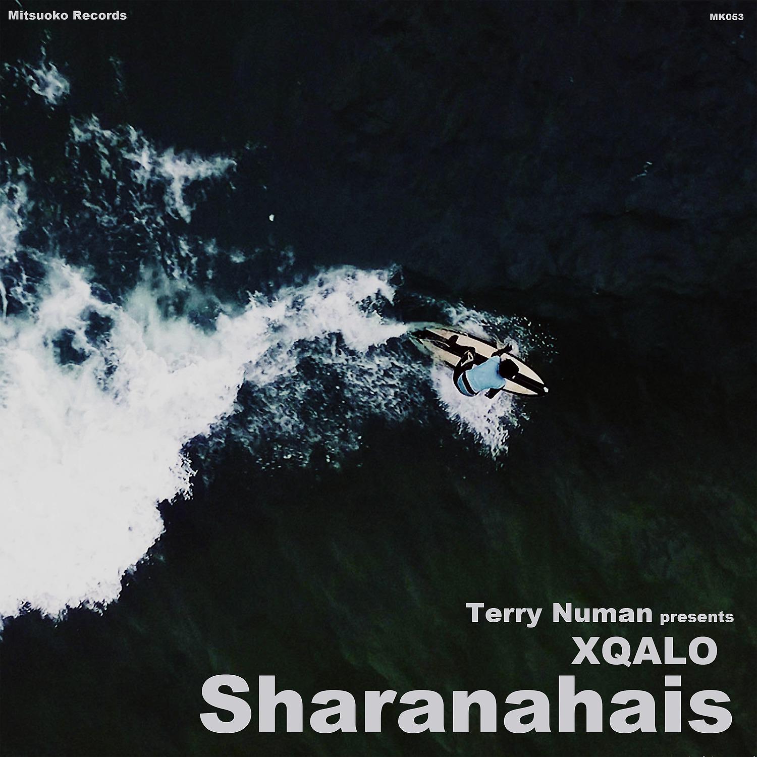 Постер альбома Sharanahais