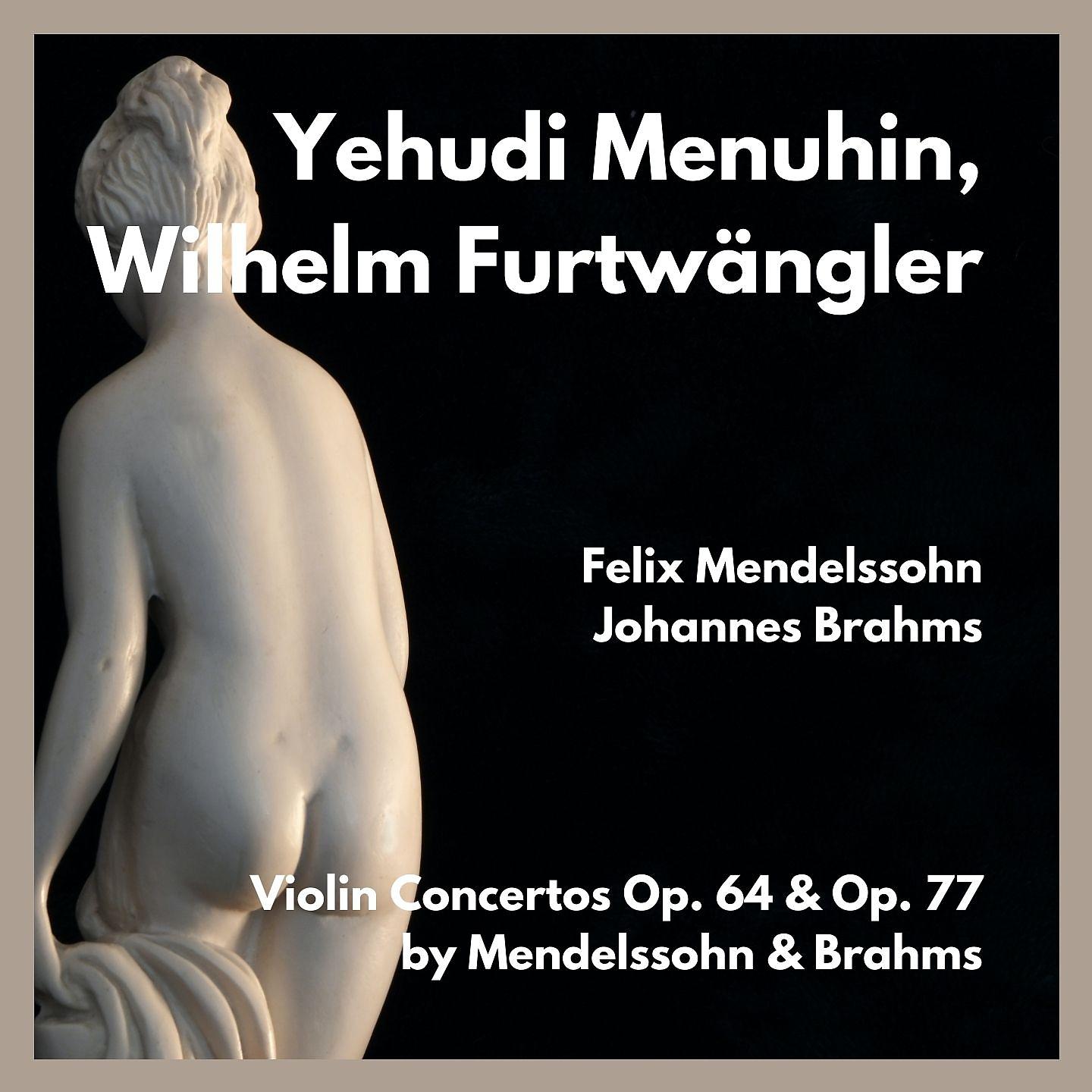 Постер альбома Violin concertos op. 64 & op. 77 by mendelssohn & brahms