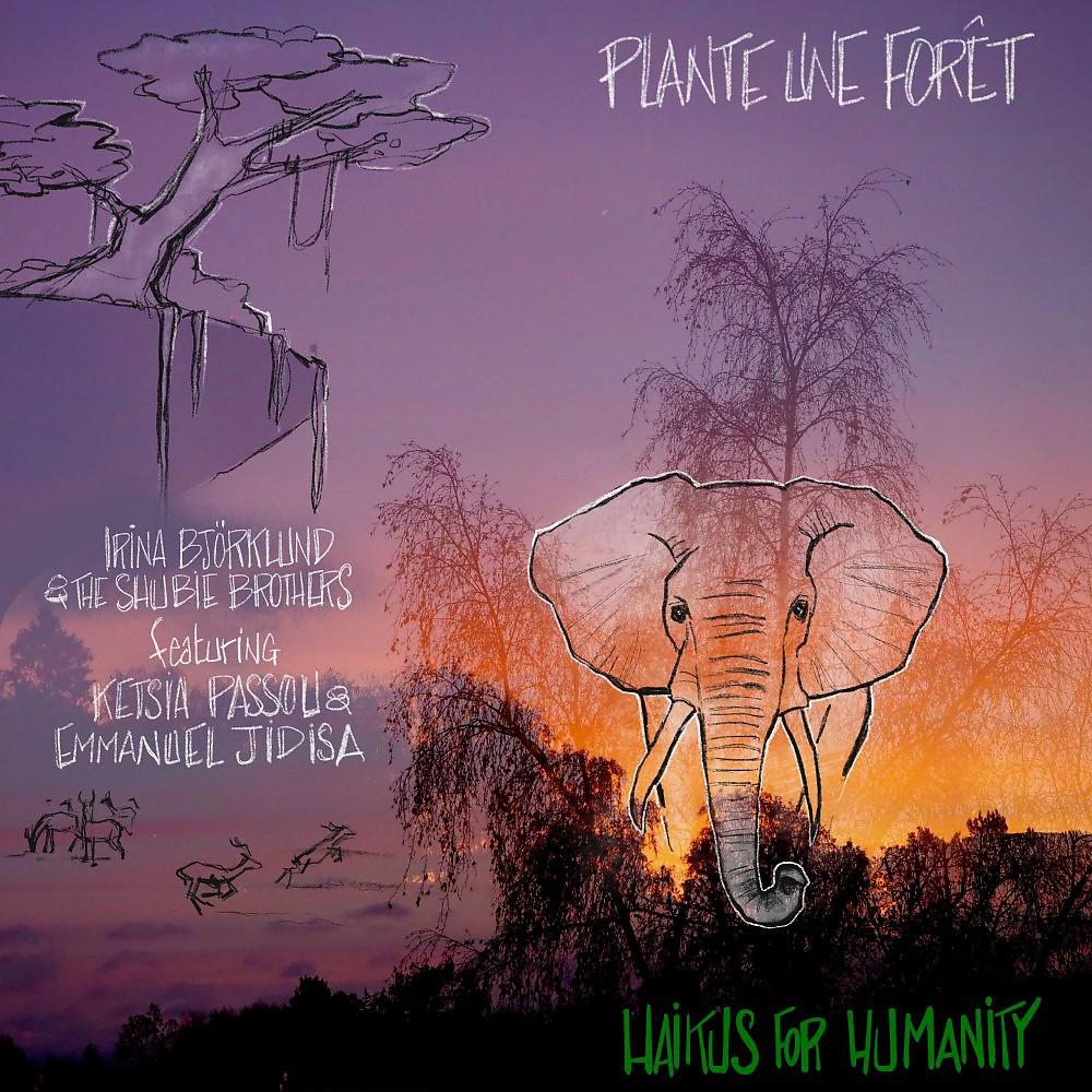Постер альбома Plante une forêt
