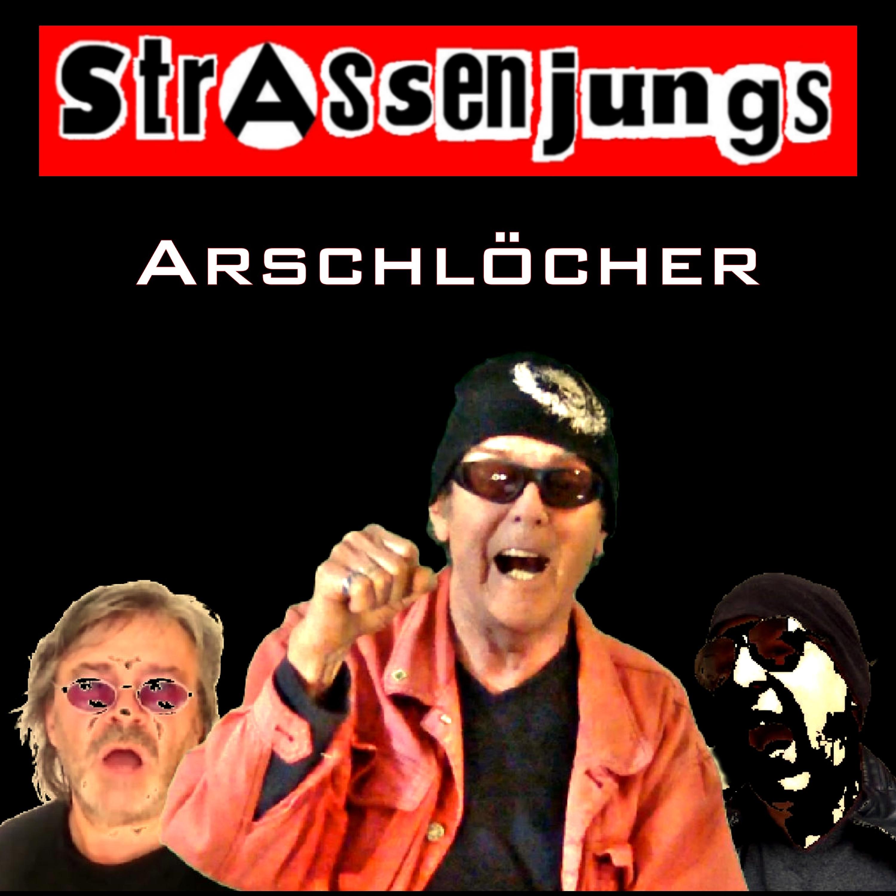 Постер альбома Arschlöcher