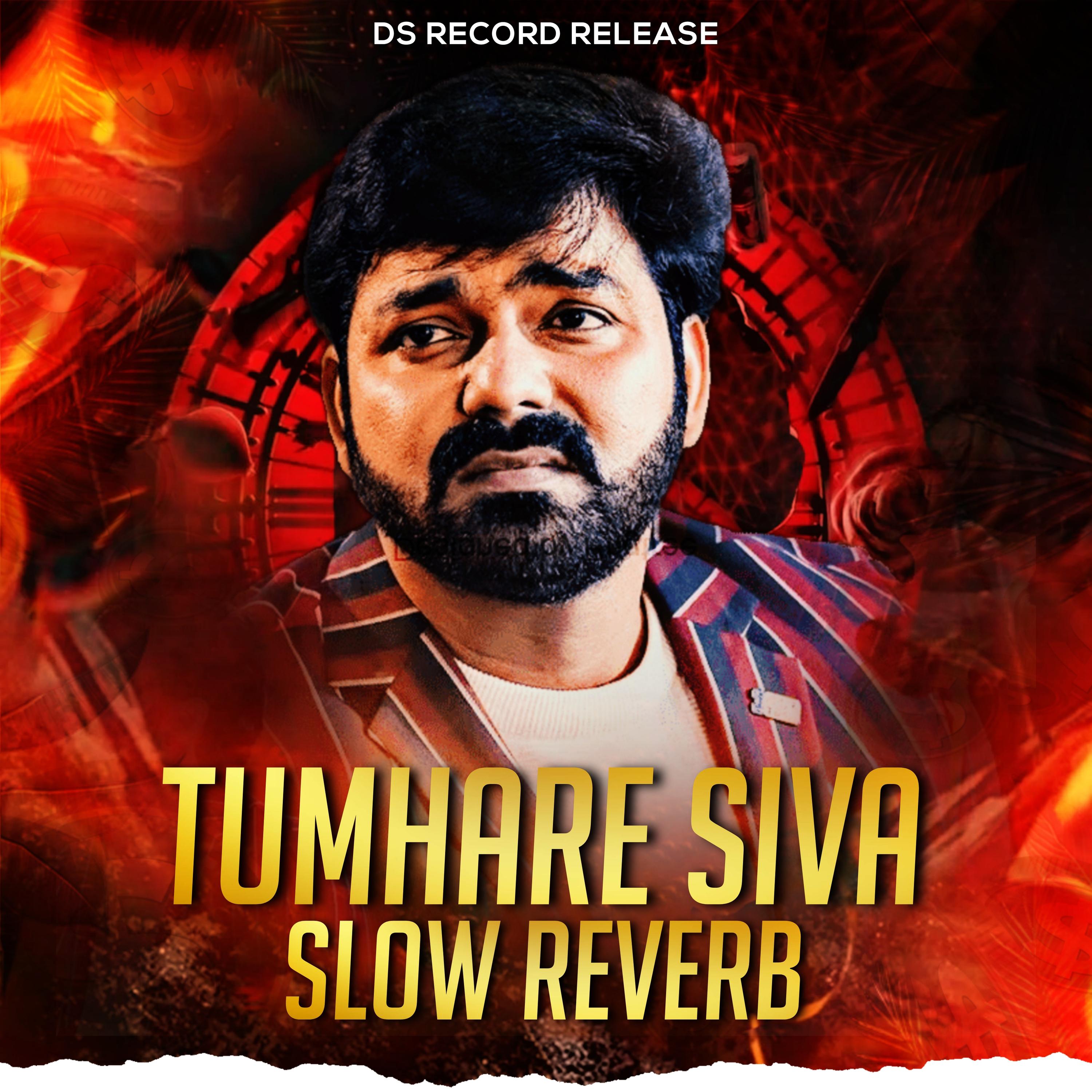 Постер альбома Tumhare Siva