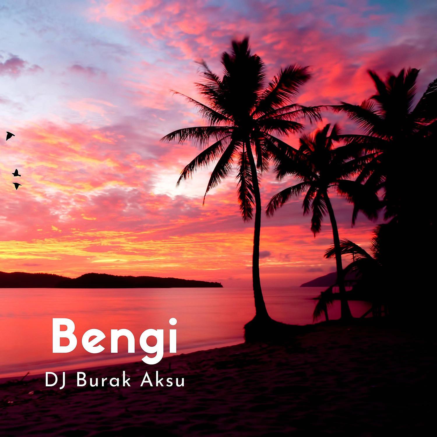 Постер альбома Bengi