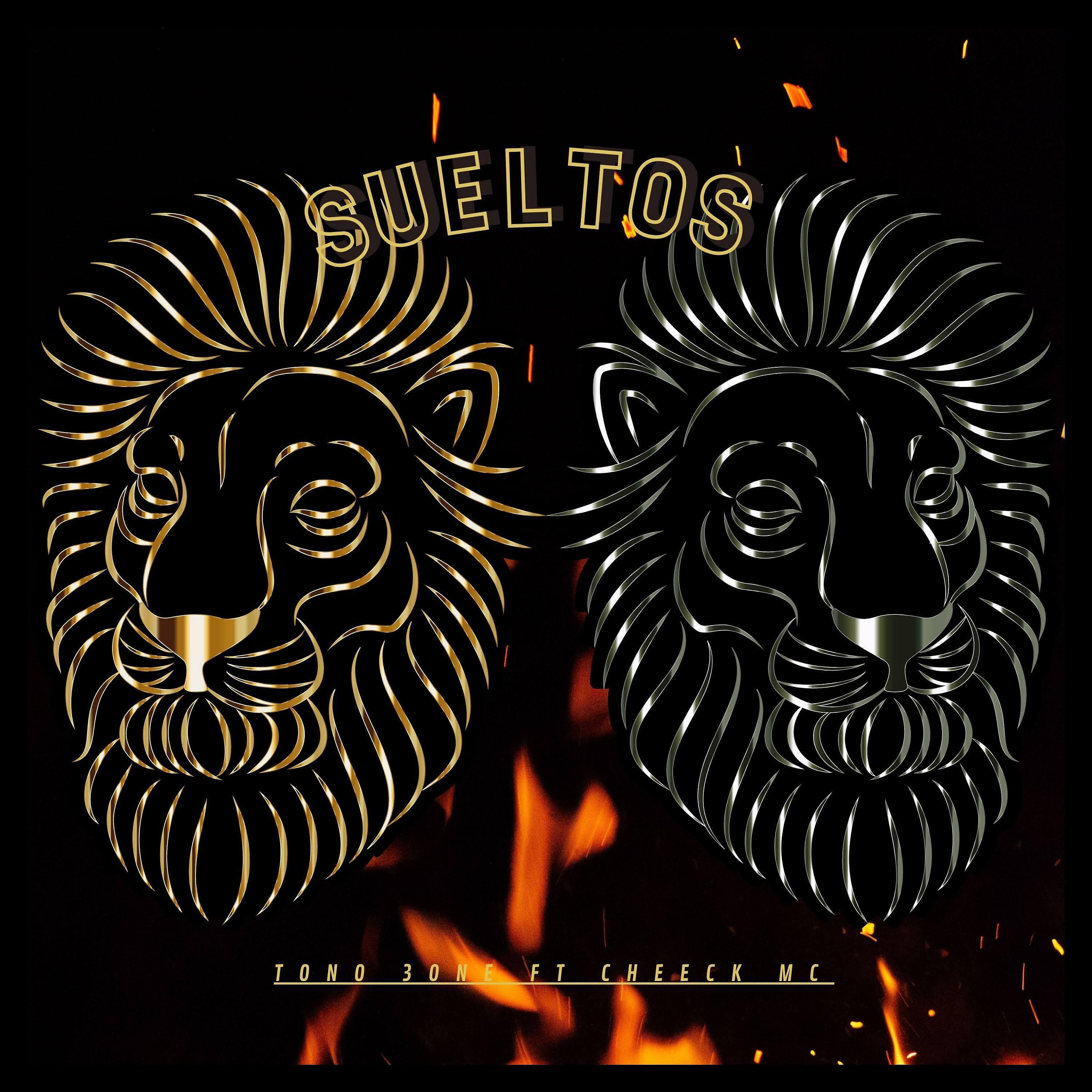 Постер альбома Sueltos