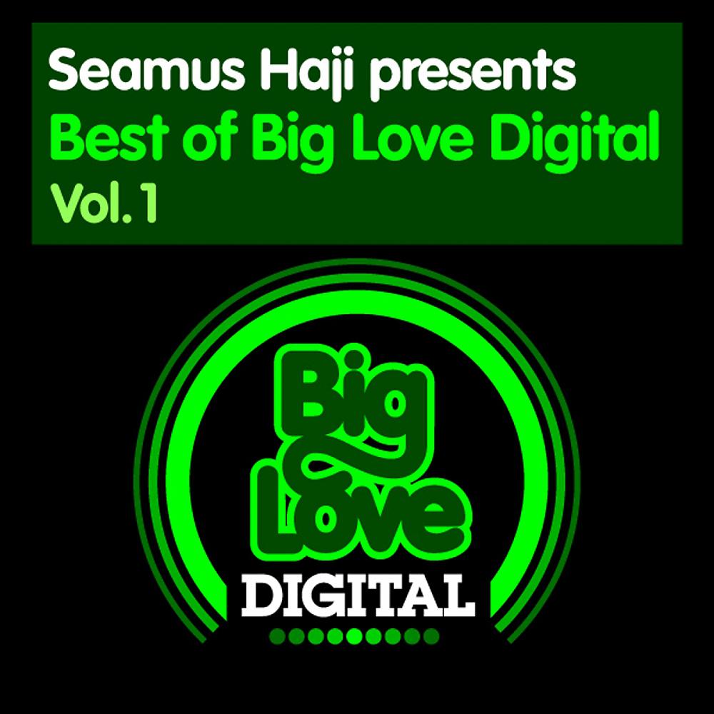 Постер альбома Seamus Haji presents Best of Big Love Digital, Vol. 1
