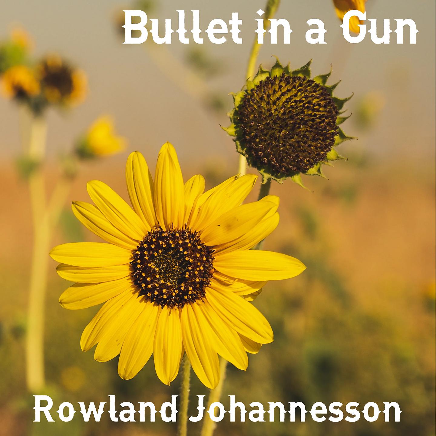 Постер альбома Bullet in a Gun
