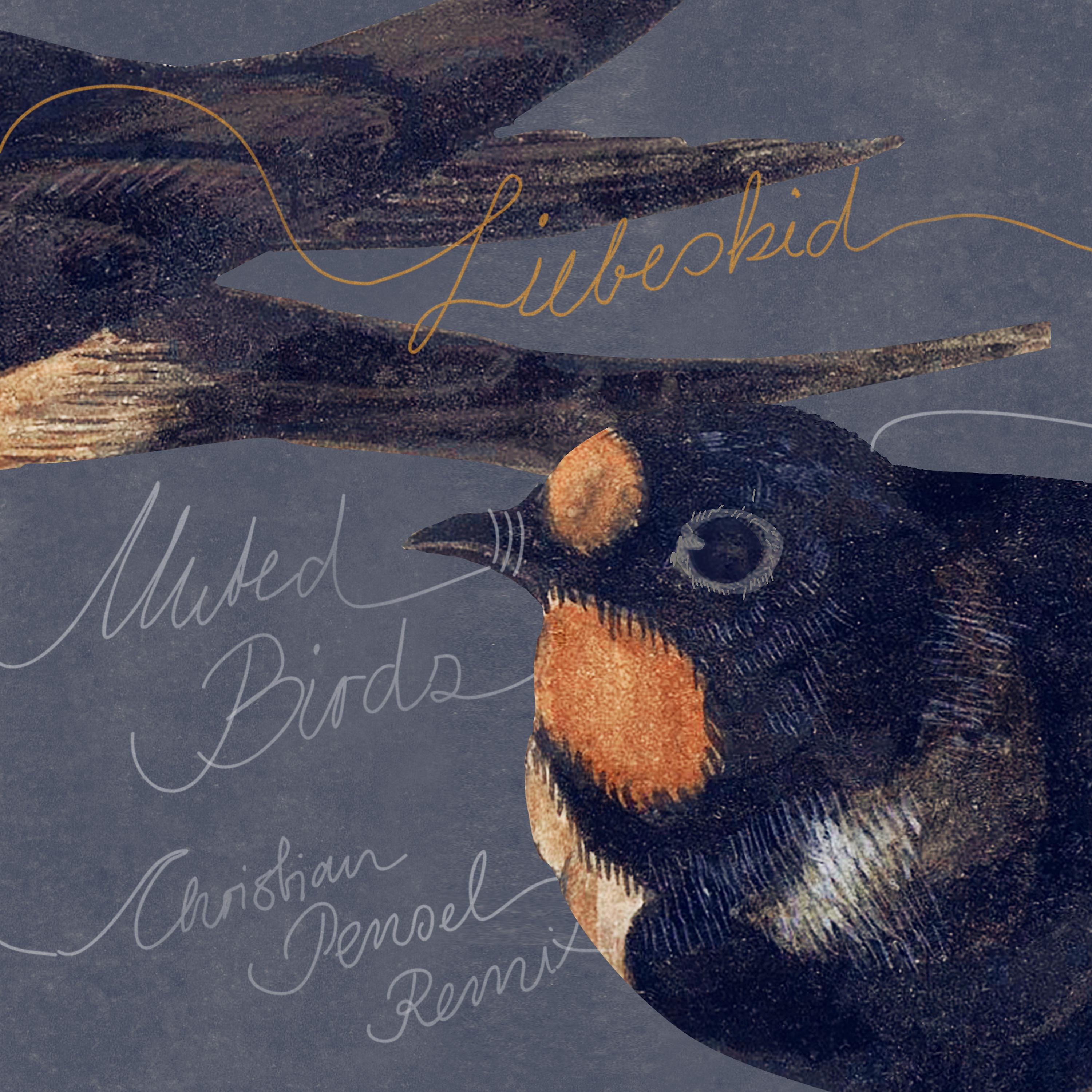 Постер альбома Muted Birds (Christian Pensel Remix)