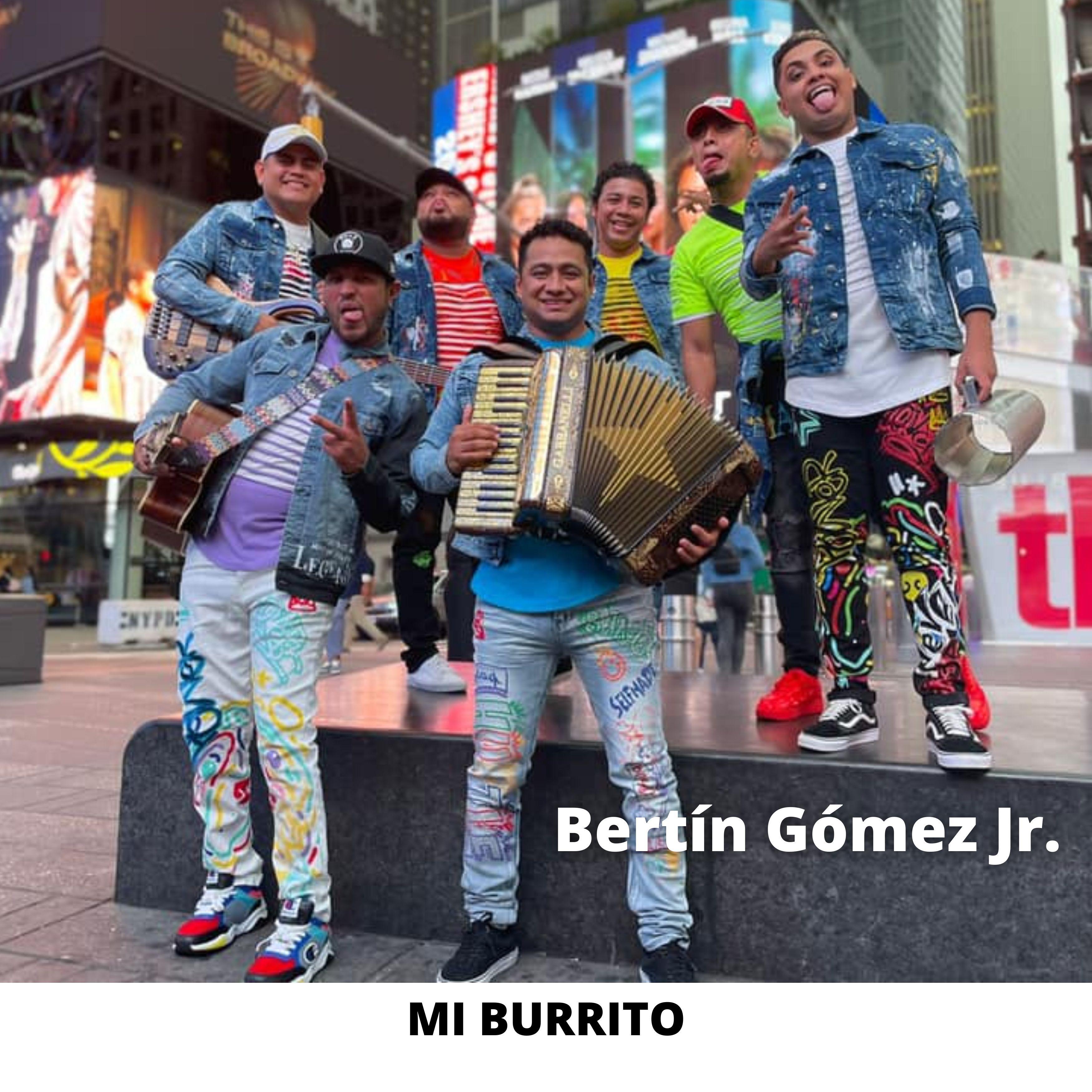 Постер альбома Mi Burrito