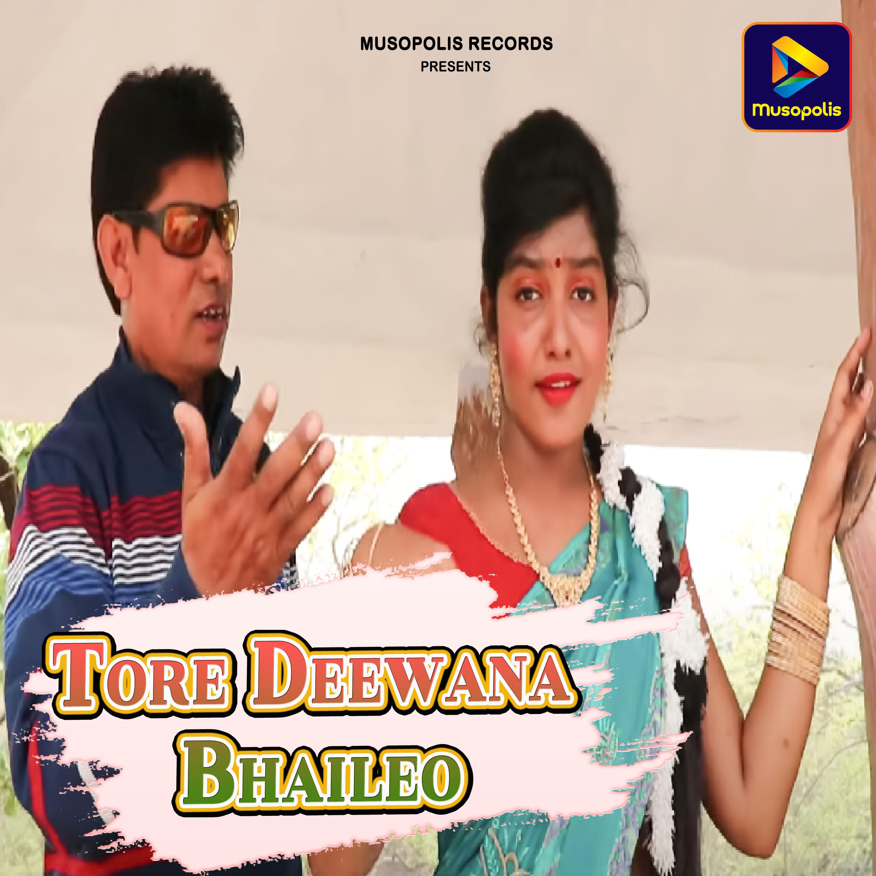 Постер альбома Tore Deewana Bhaileo