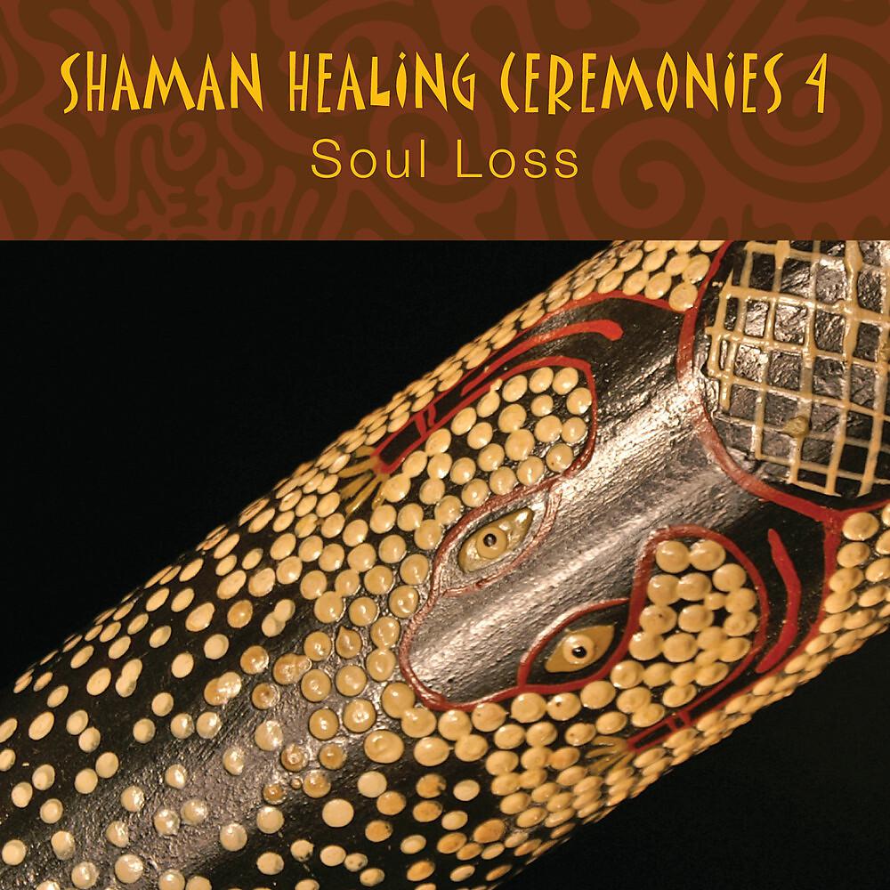 Постер альбома Shaman Healing Ceremonies, Pt. 4