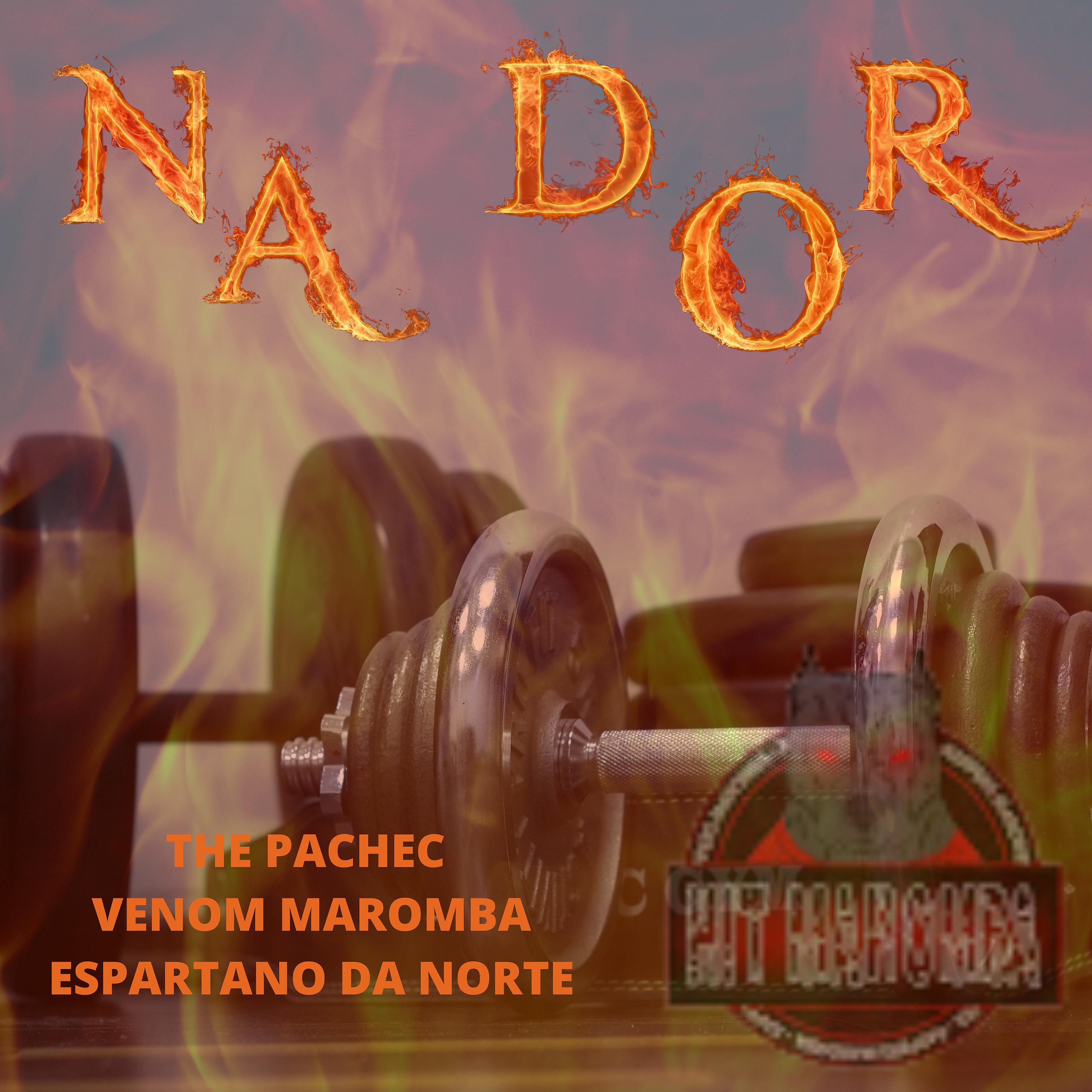 Постер альбома Na Dor