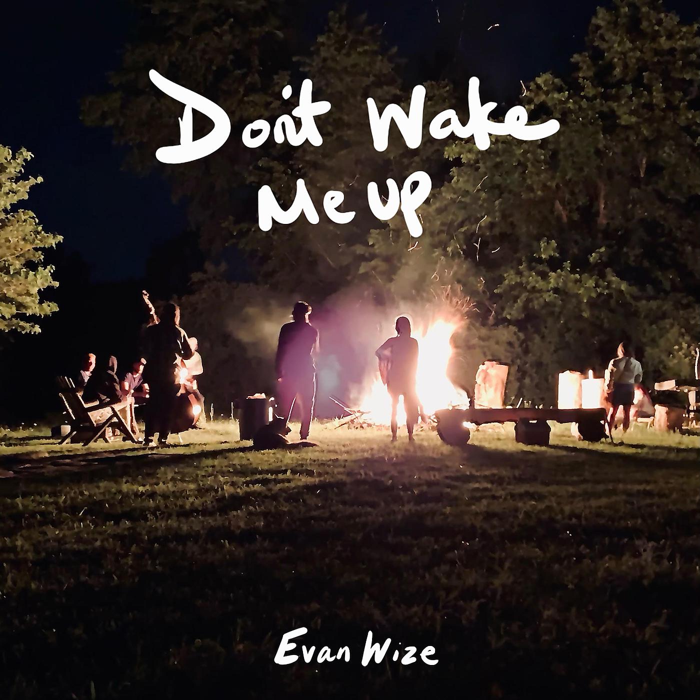 Постер альбома Don't Wake Me Up