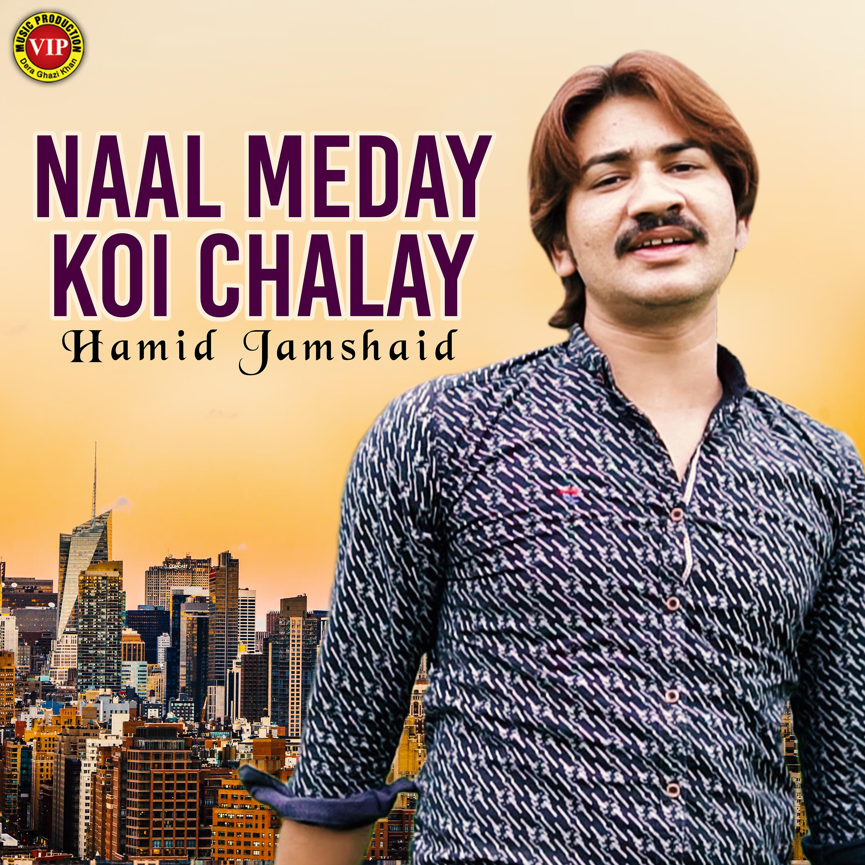 Постер альбома Naal Meday Koi Chalay - Single