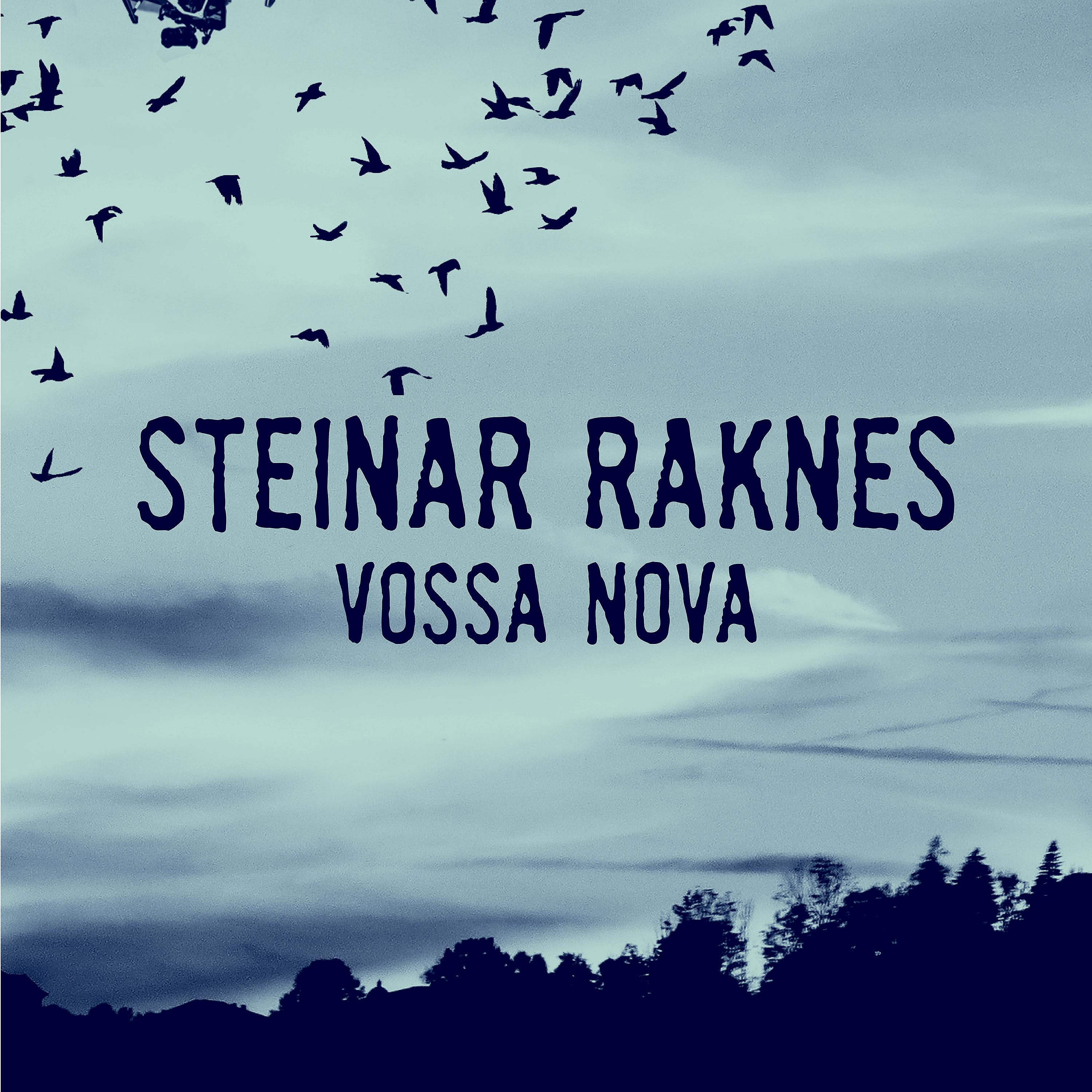 Постер альбома Vossa Nova