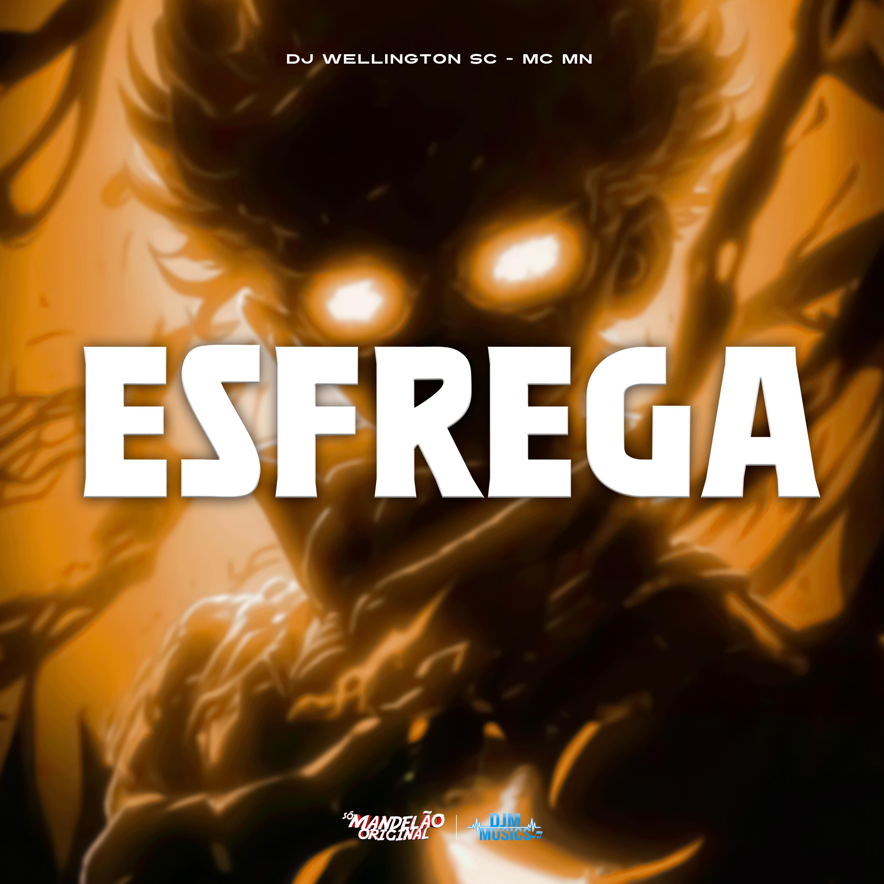 Постер альбома Esfrega