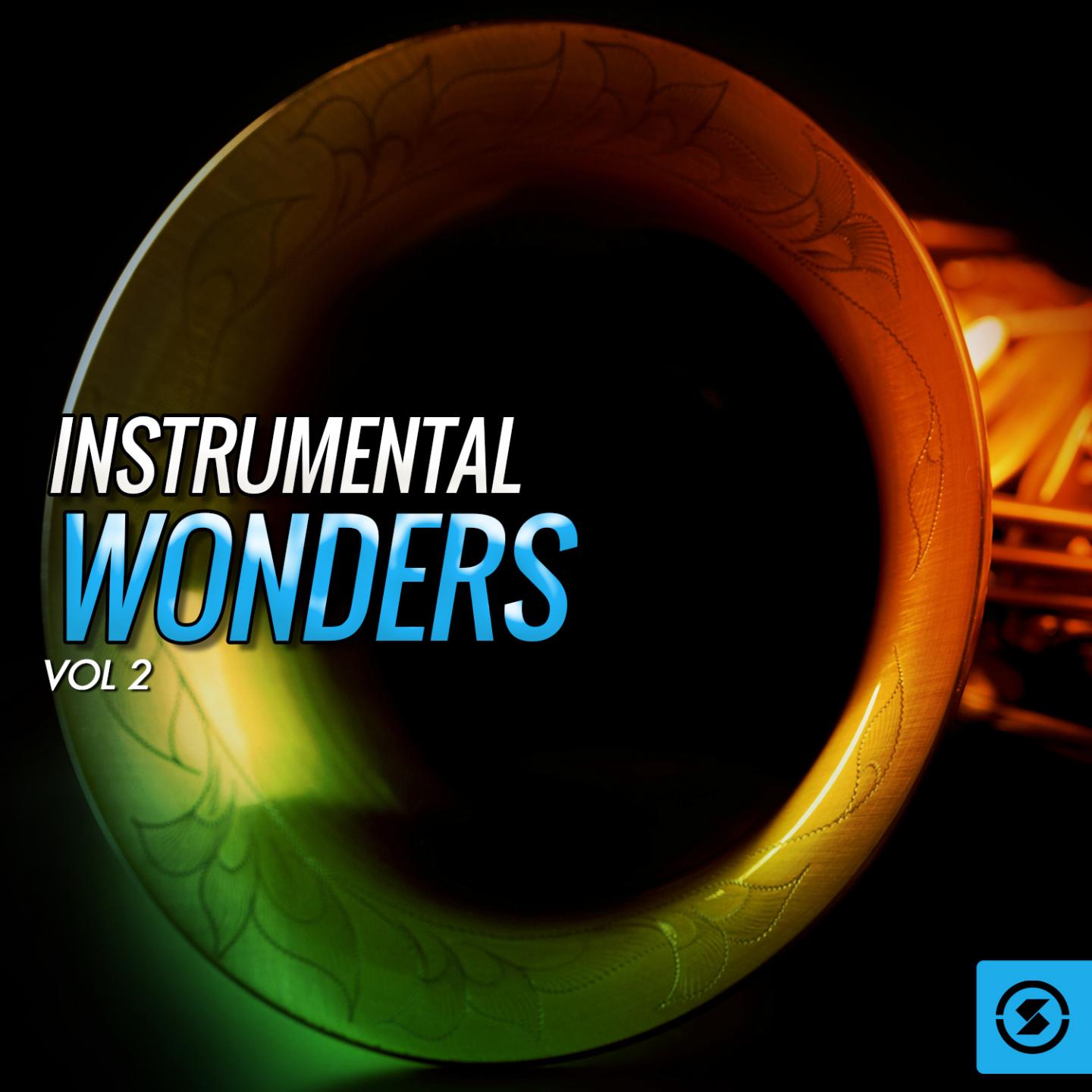Постер альбома Instrumental Wonders, Vol. 2