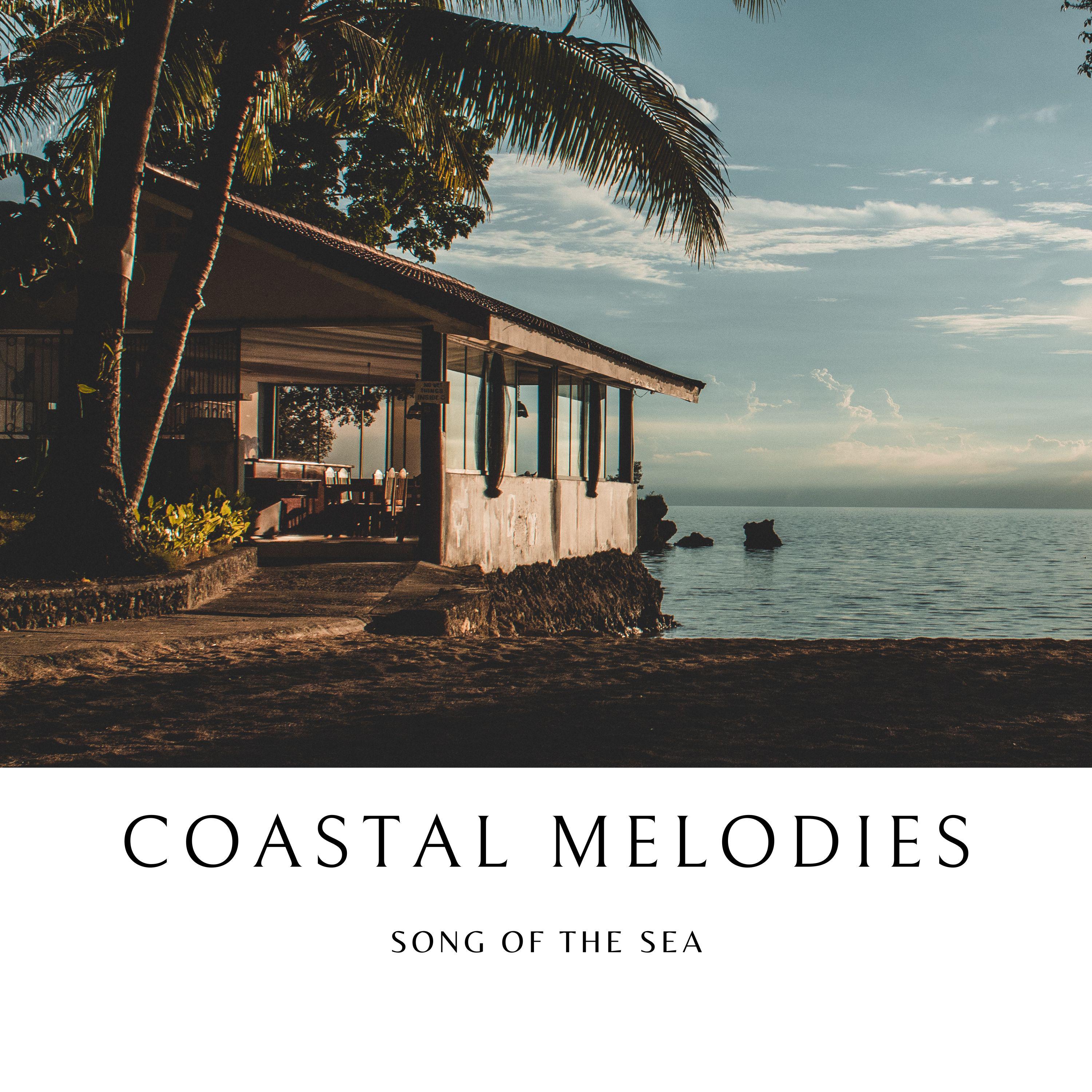 Постер альбома Coastal Melodies
