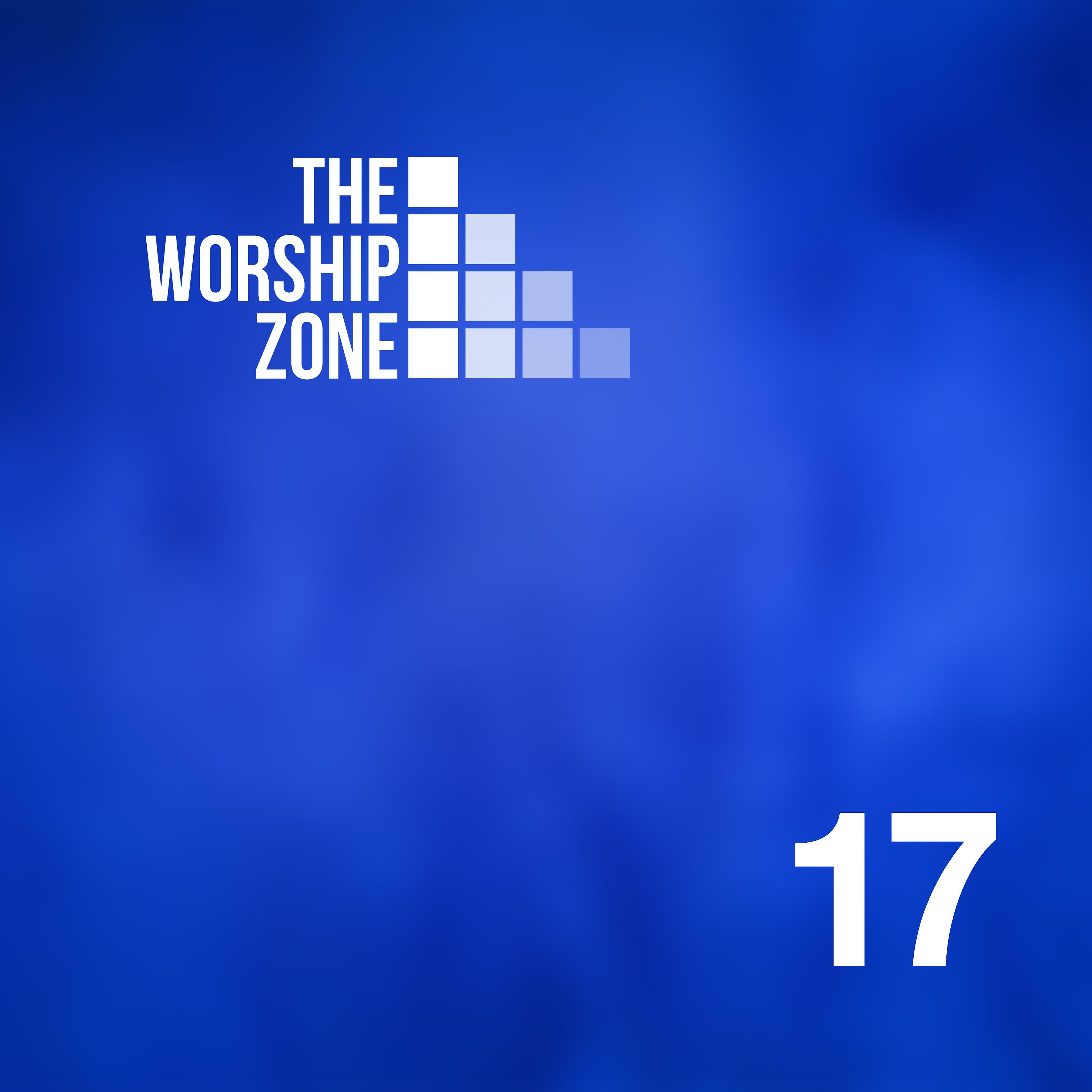 Постер альбома The Worship Zone 17