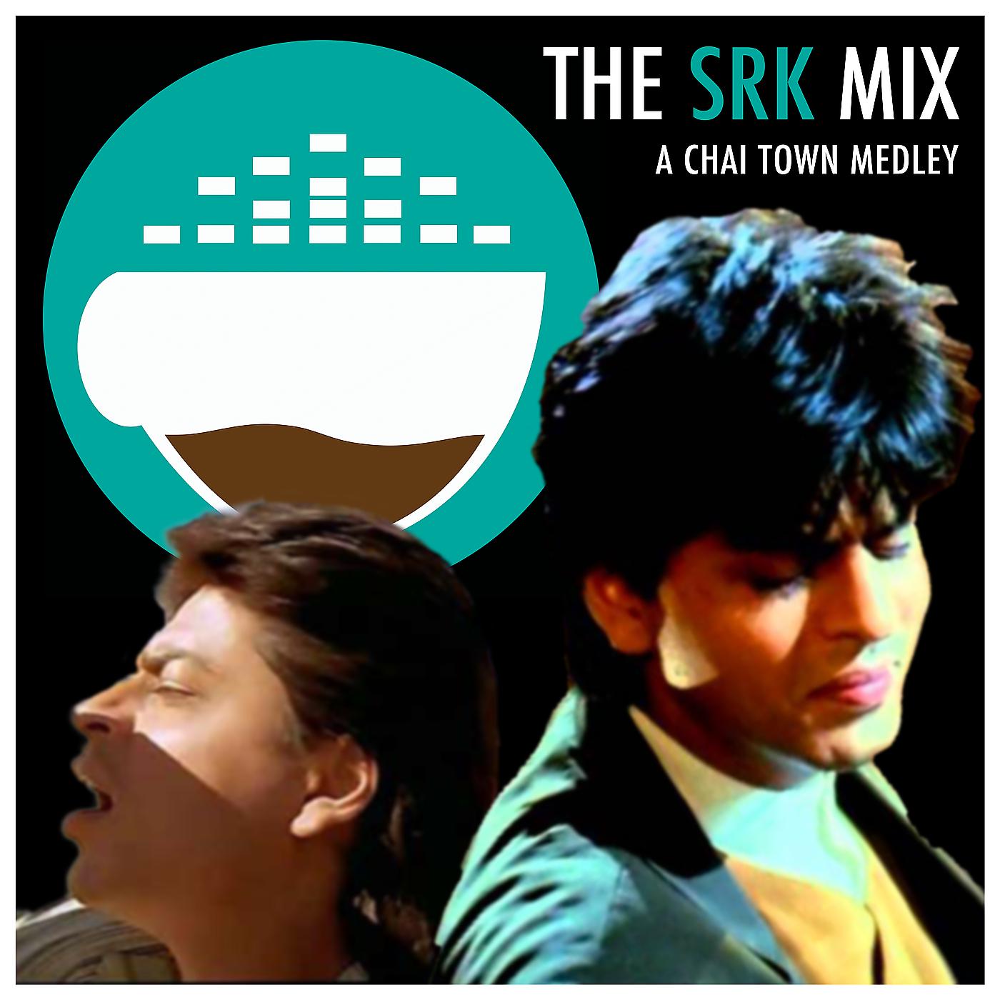 Постер альбома The Srk Mix