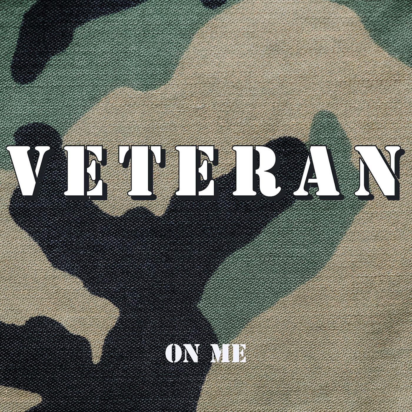 Постер альбома Veteran
