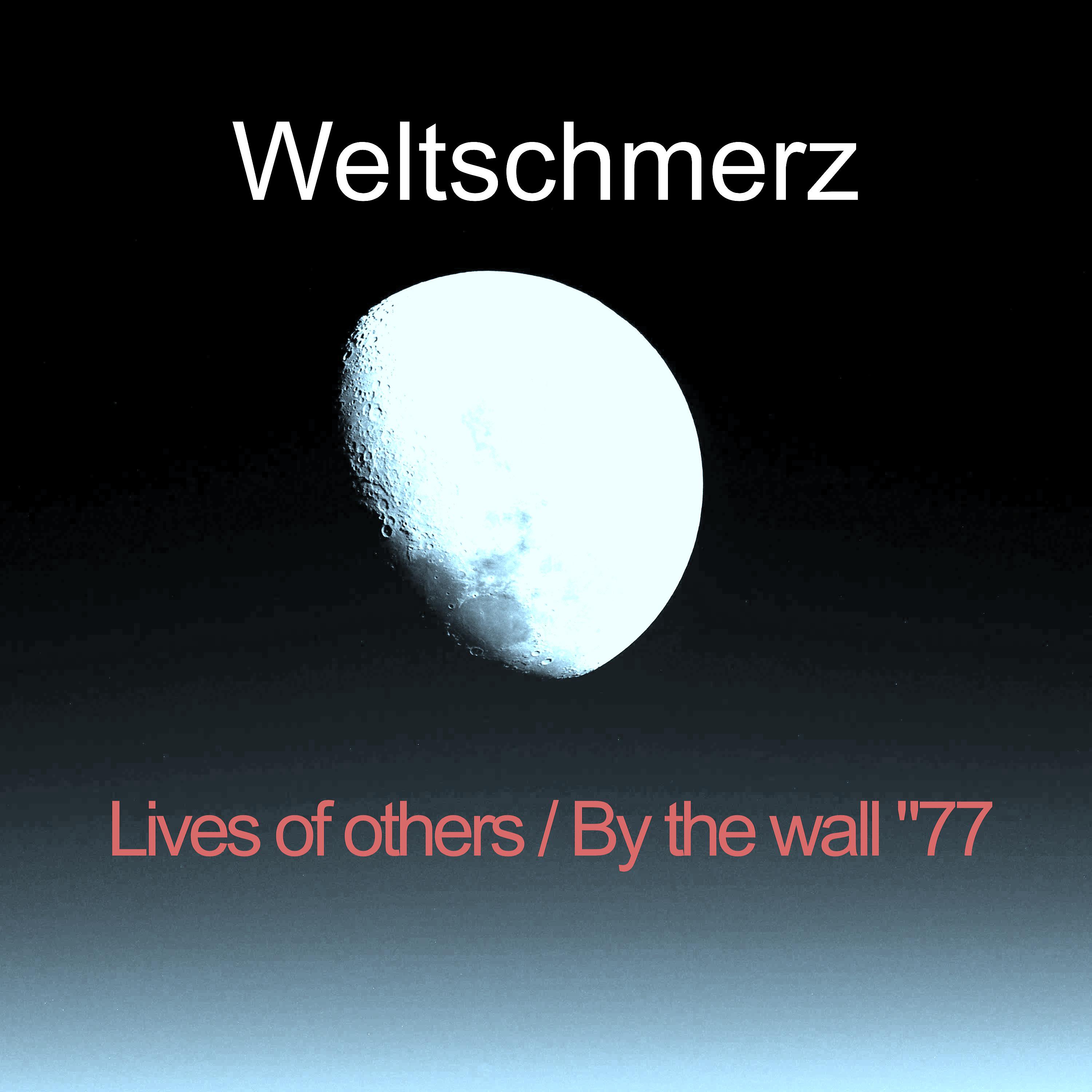 Постер альбома Lives Of Others / By The Wall "77
