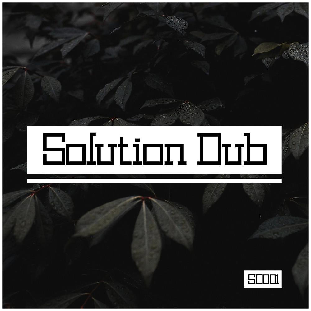 Постер альбома Solution Dub