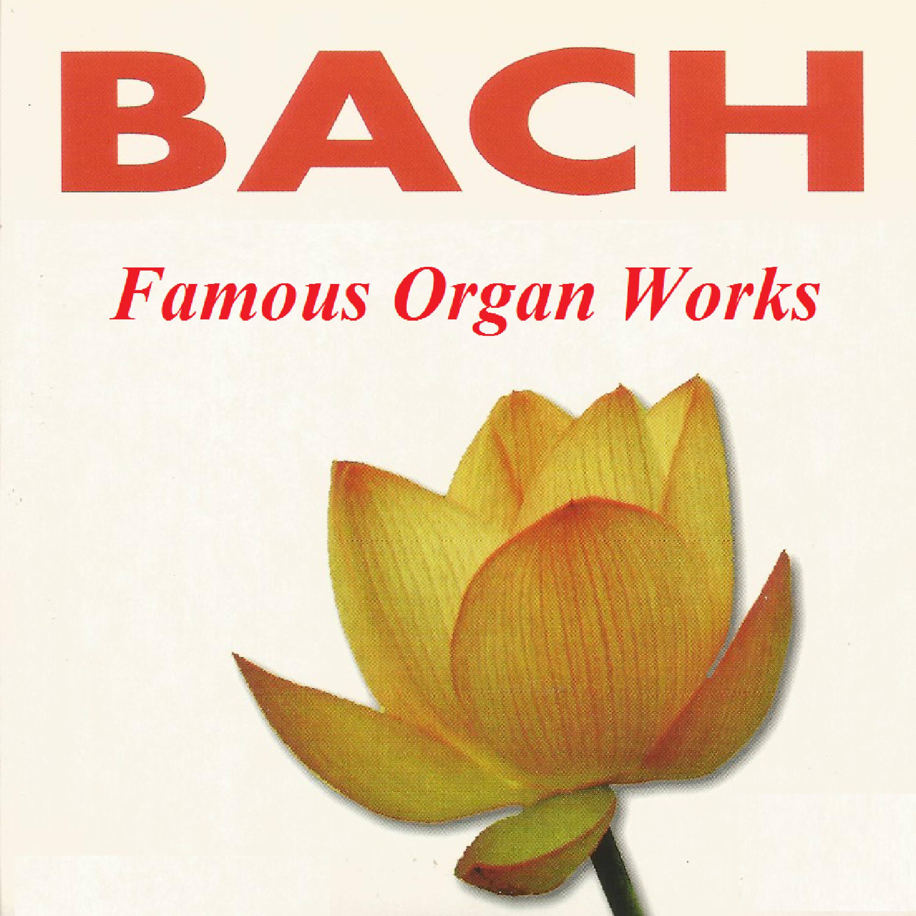 Постер альбома Bach - Famous Organ Works