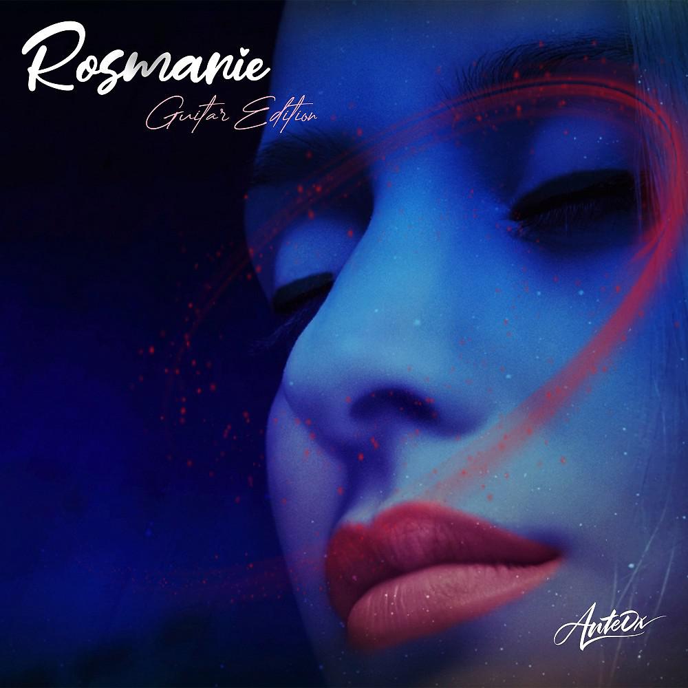 Постер альбома Rosmarie (Guitar Edition)