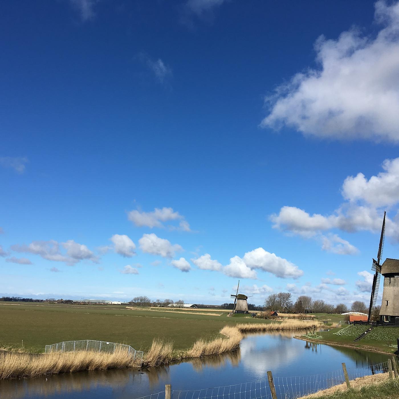 Постер альбома Nederland Rood Wit En Blauw