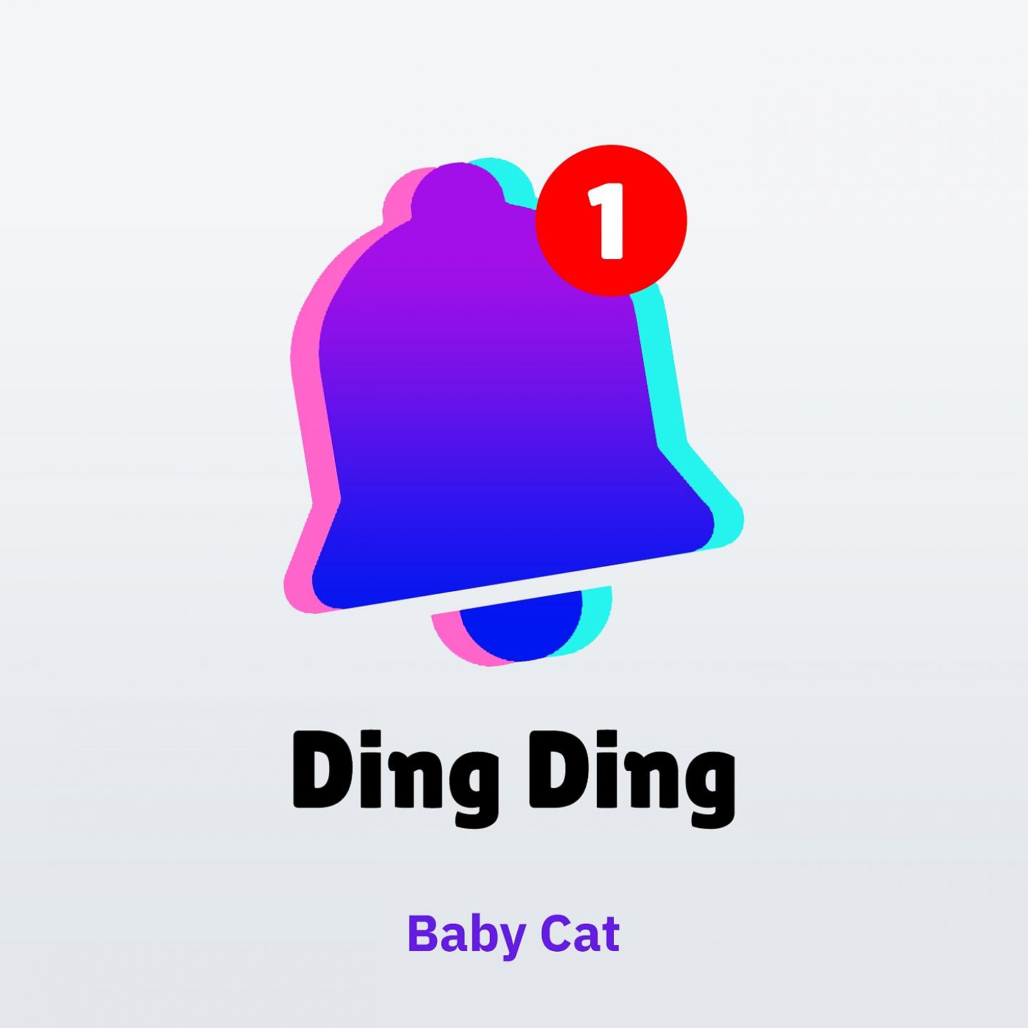 Постер альбома Baby Cat