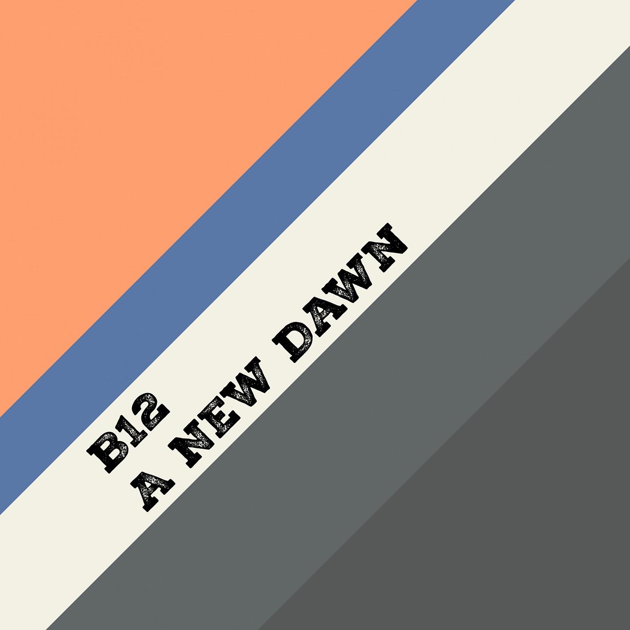 Постер альбома A New Dawn