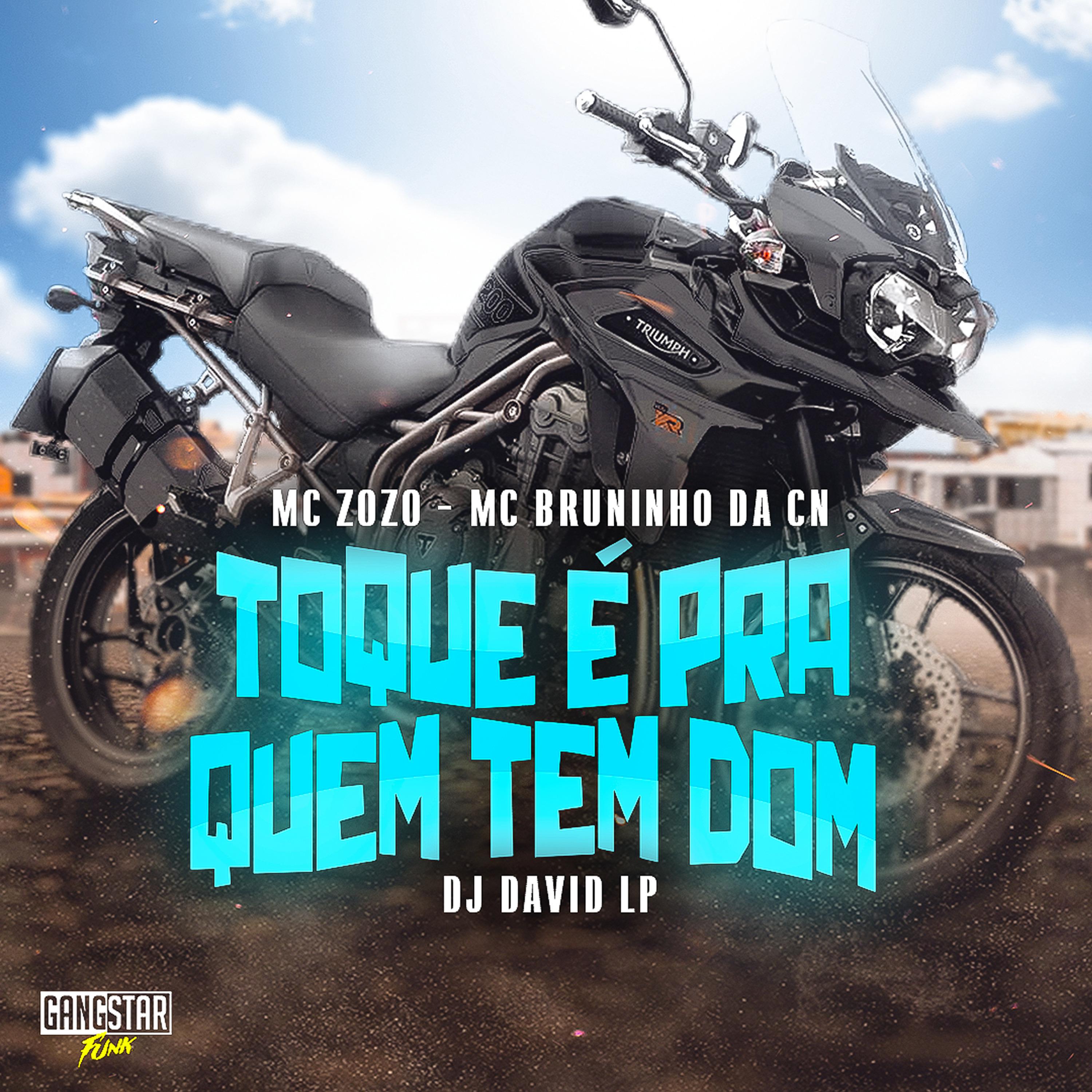 Постер альбома Toque É pra Quem Tem Dom