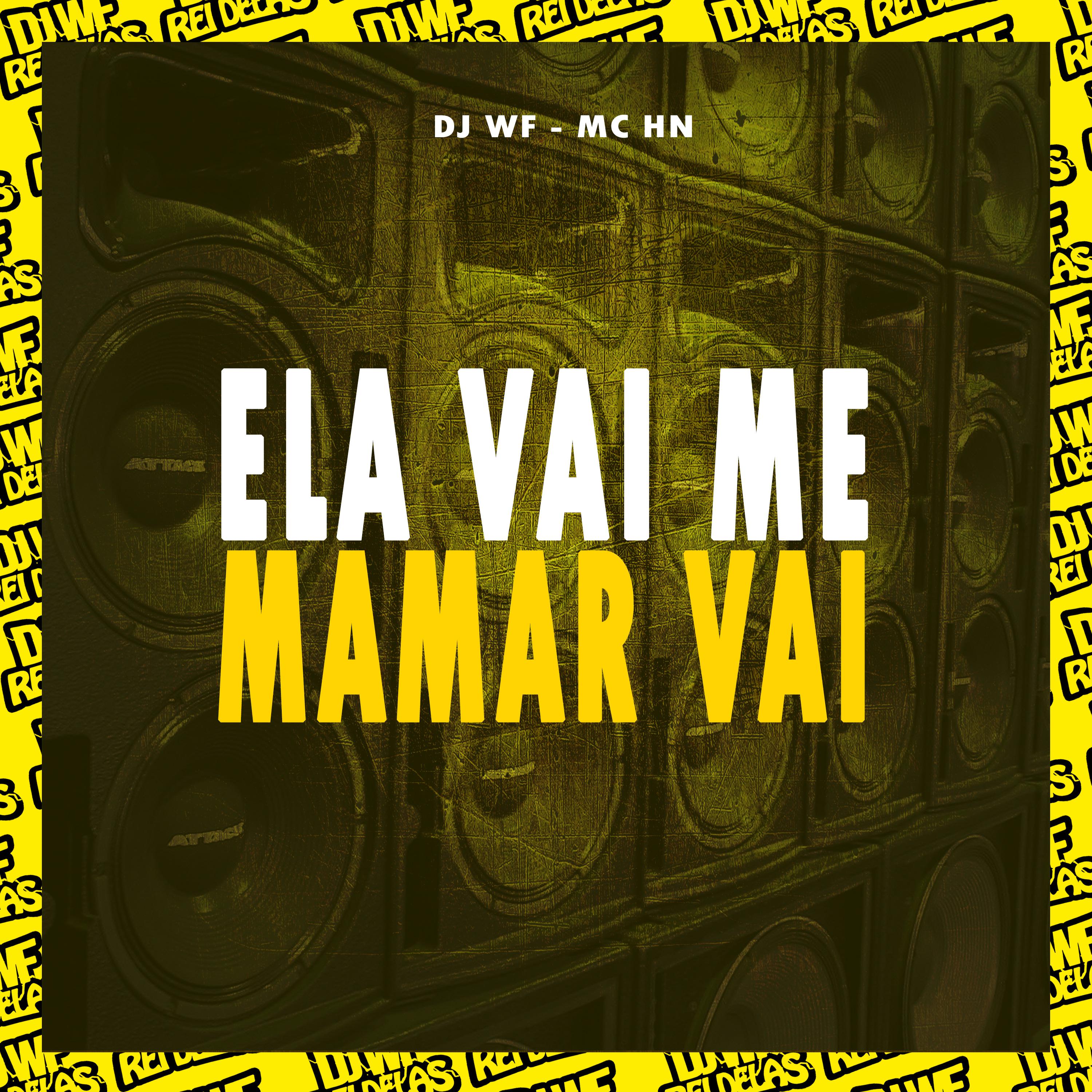 Постер альбома Ela Vai Me Mamar Vai