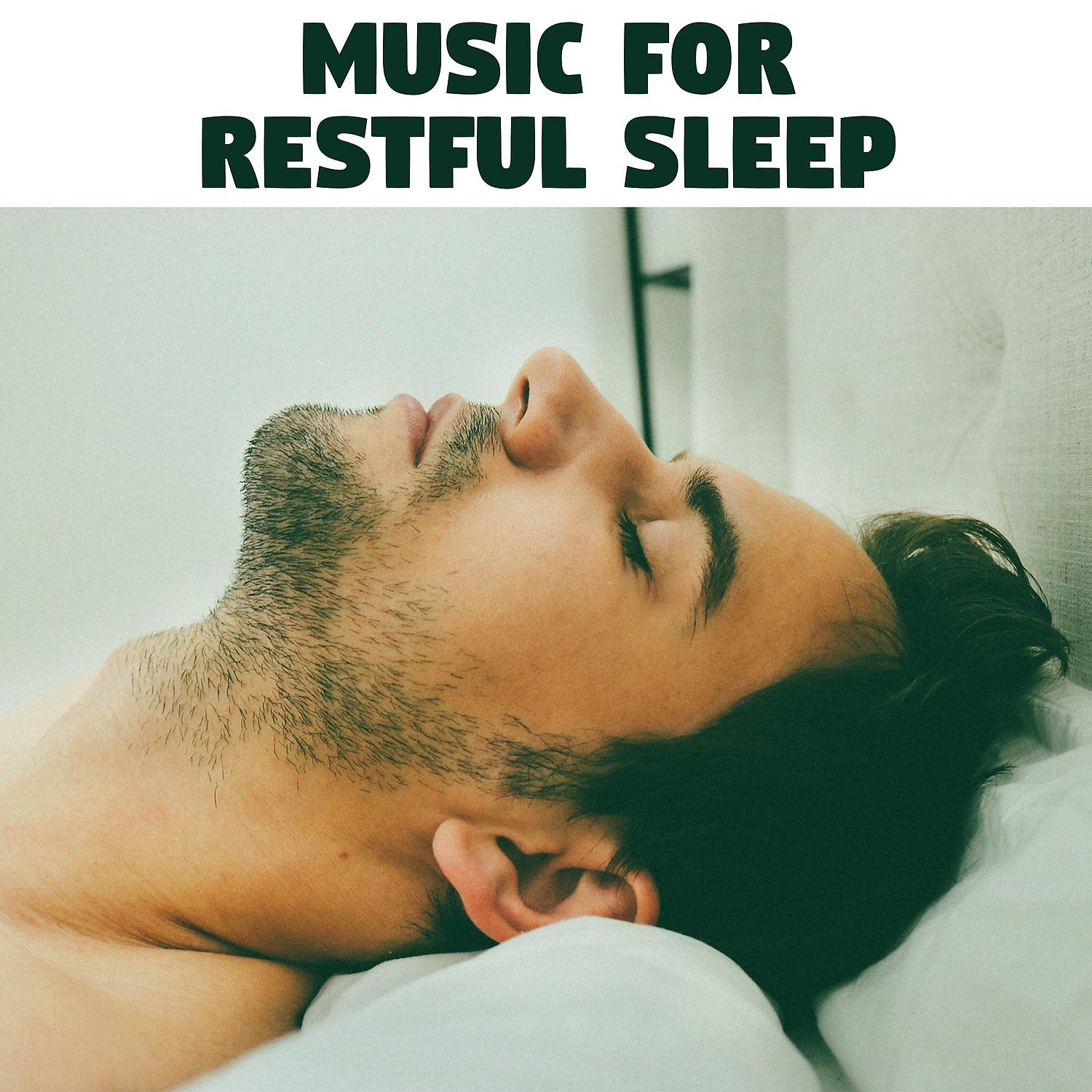 Постер альбома Music for Restful Sleep – Peaceful Night Sounds, Music to Rest, Nature Relaxation, Evening Meditation