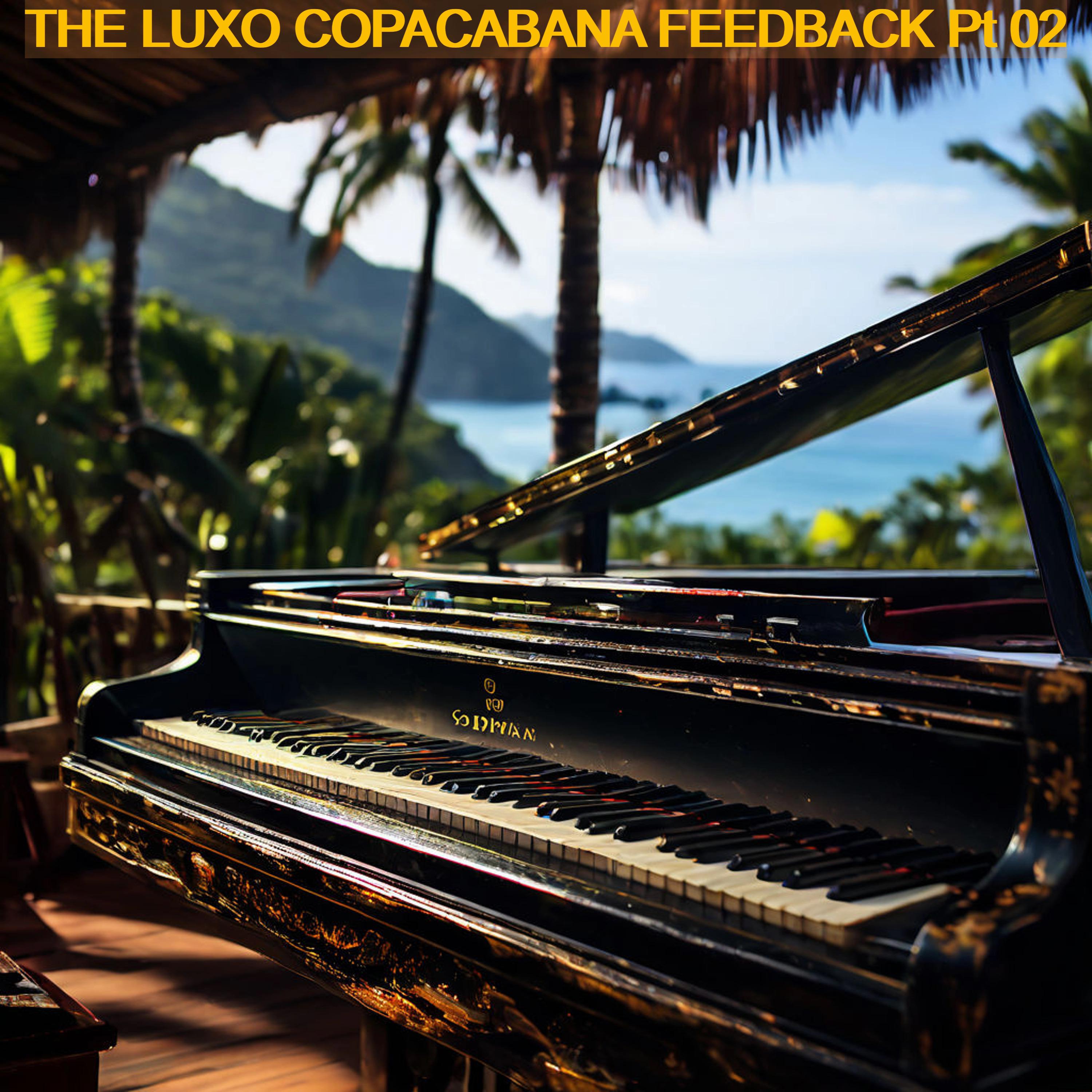 Постер альбома The Luxo Copacabana Feedback, Pt. 02