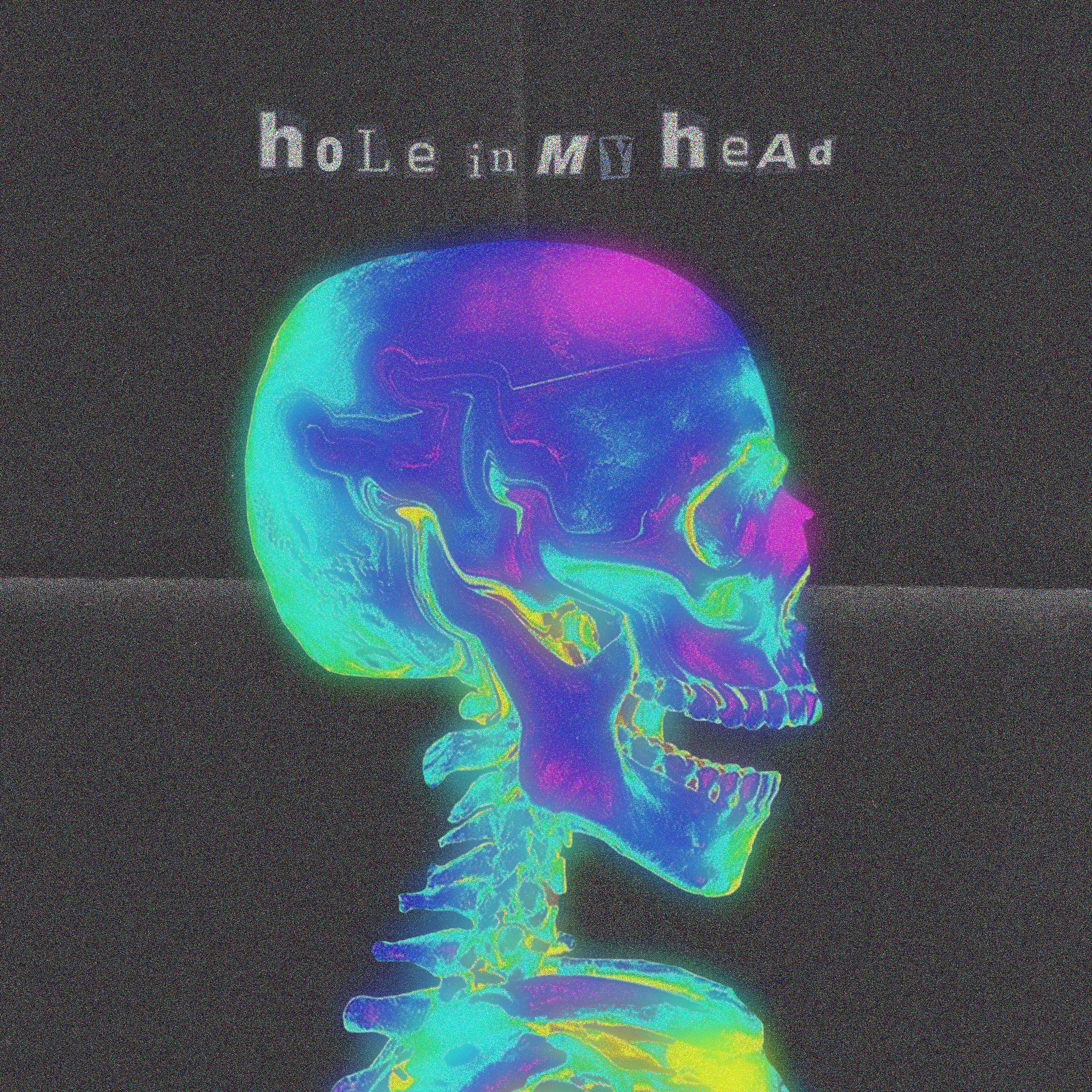 Постер альбома Hole In My Head