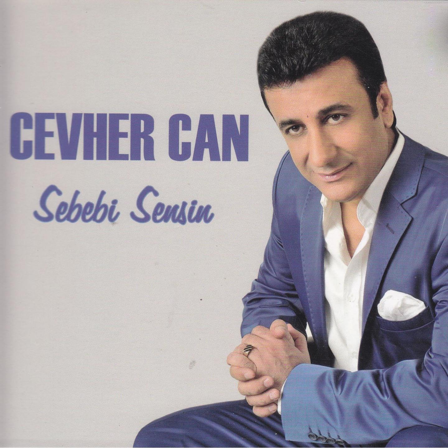 Постер альбома Sebebi Sensin