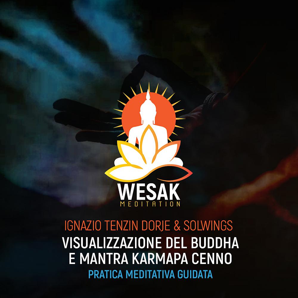 Постер альбома Visualizzazione del Buddha e Mantra Karmapa Cenno / Pratica meditativa guidata