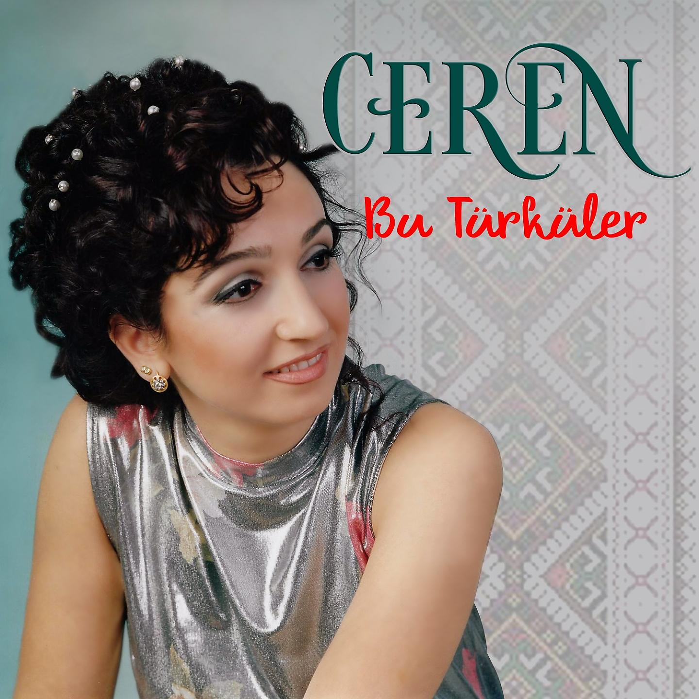 Постер альбома Bu Türküler