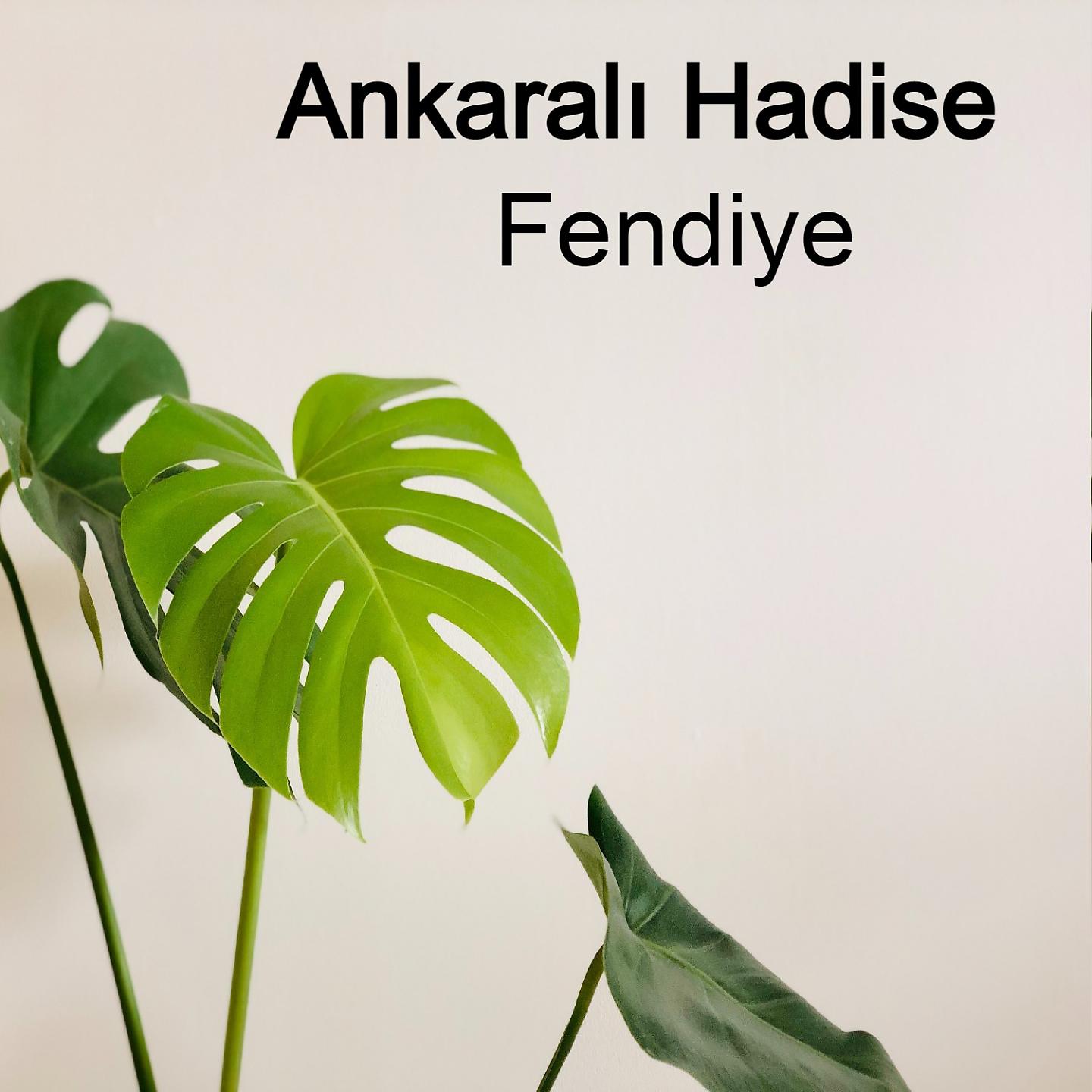 Постер альбома Fendiye
